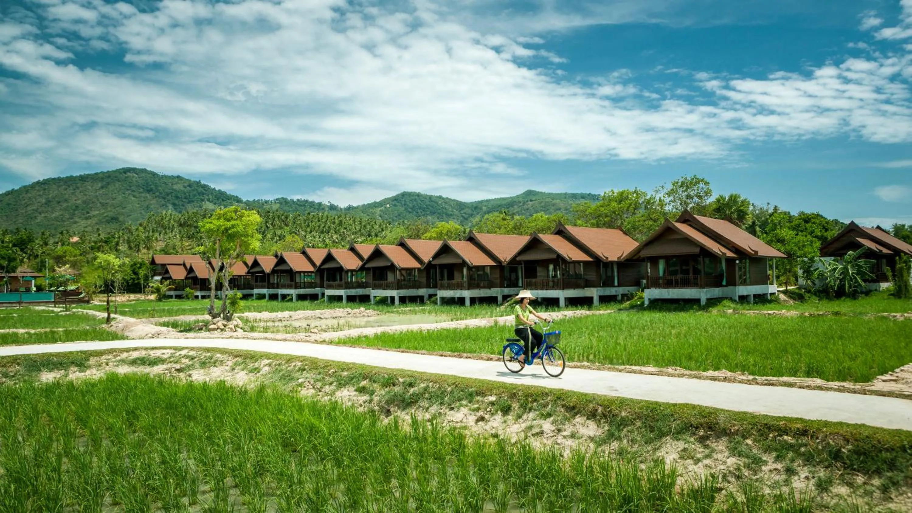 Area and facilities in Farmers Villa