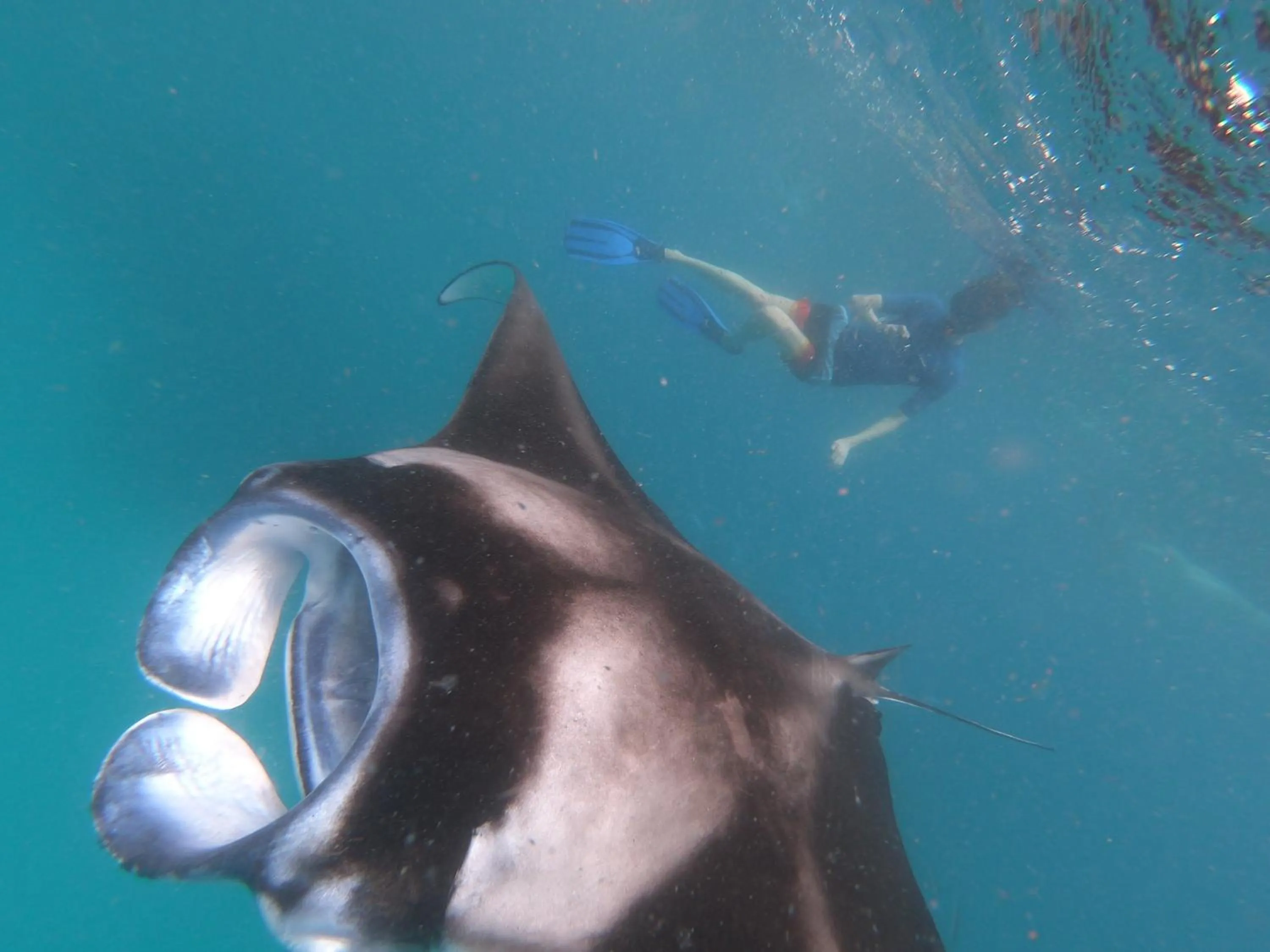 Activities in LVIS blancura Hotel