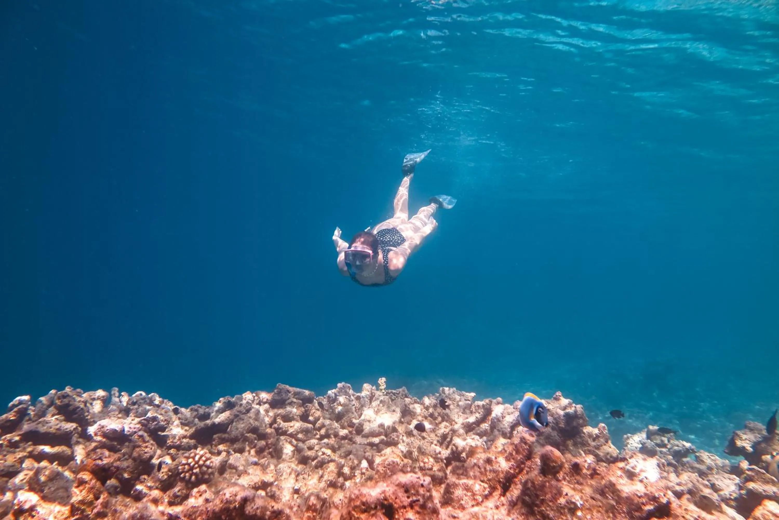 Snorkeling in Rashu Hiyaa