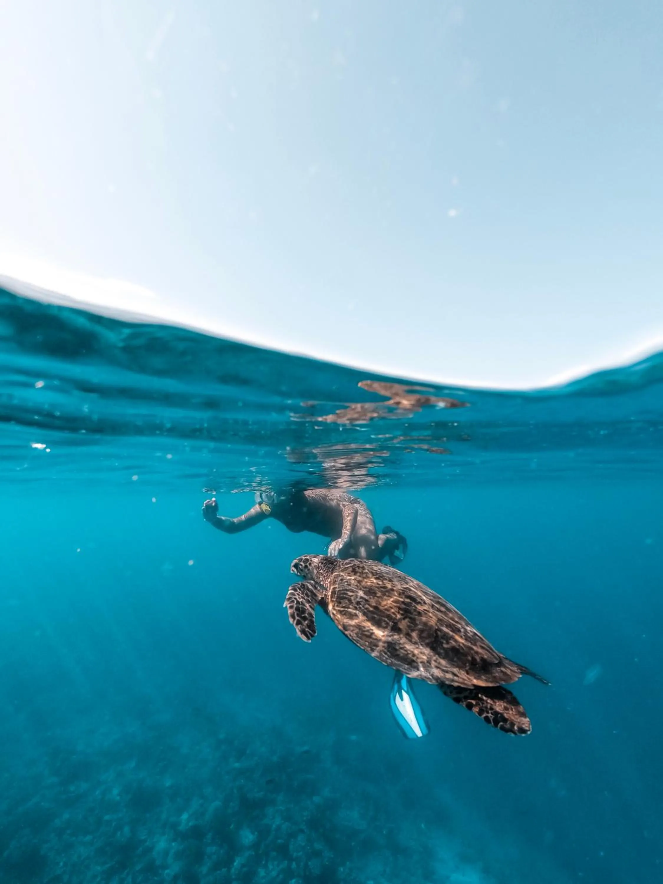 Snorkeling in Rashu Hiyaa