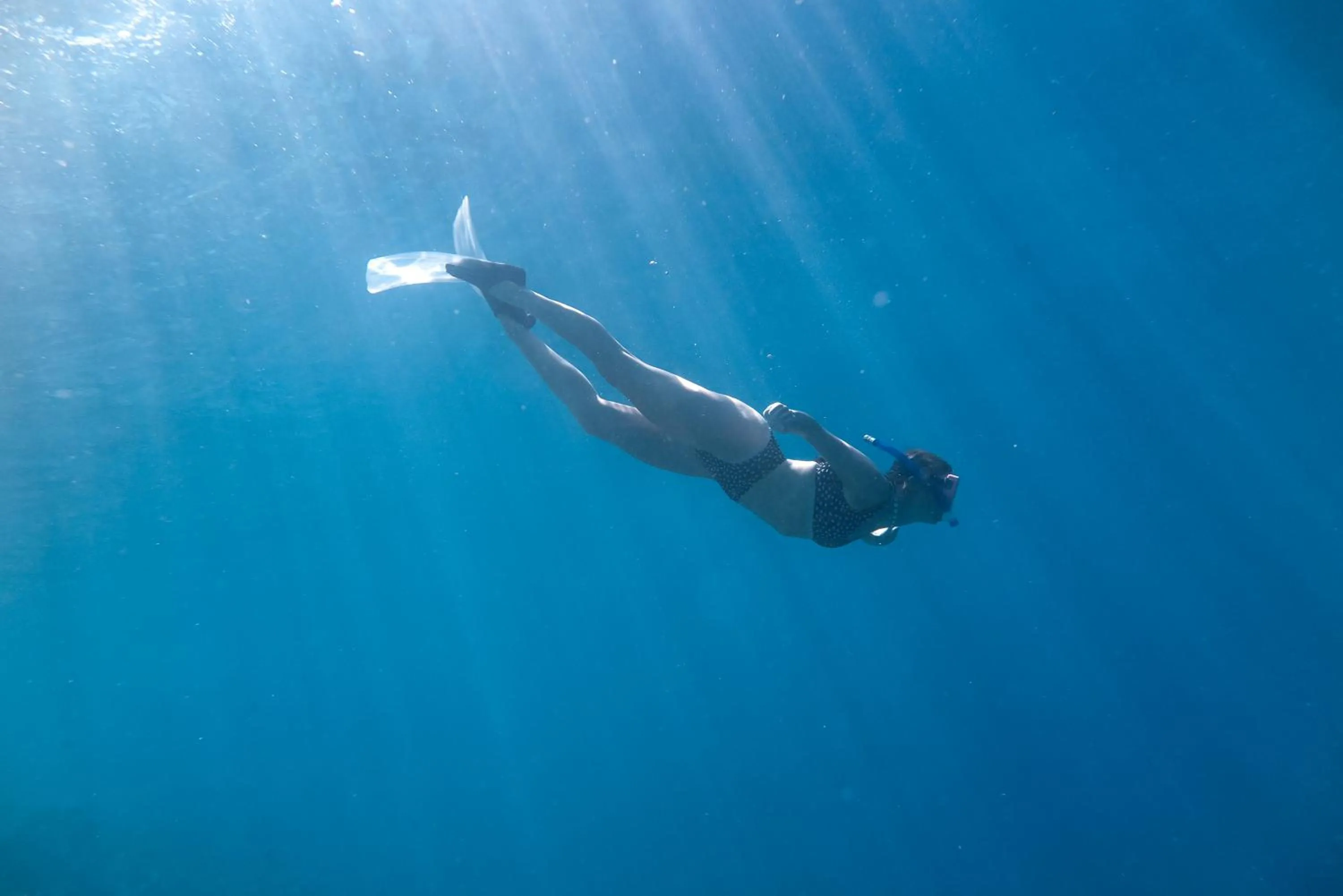 Snorkeling in Rashu Hiyaa