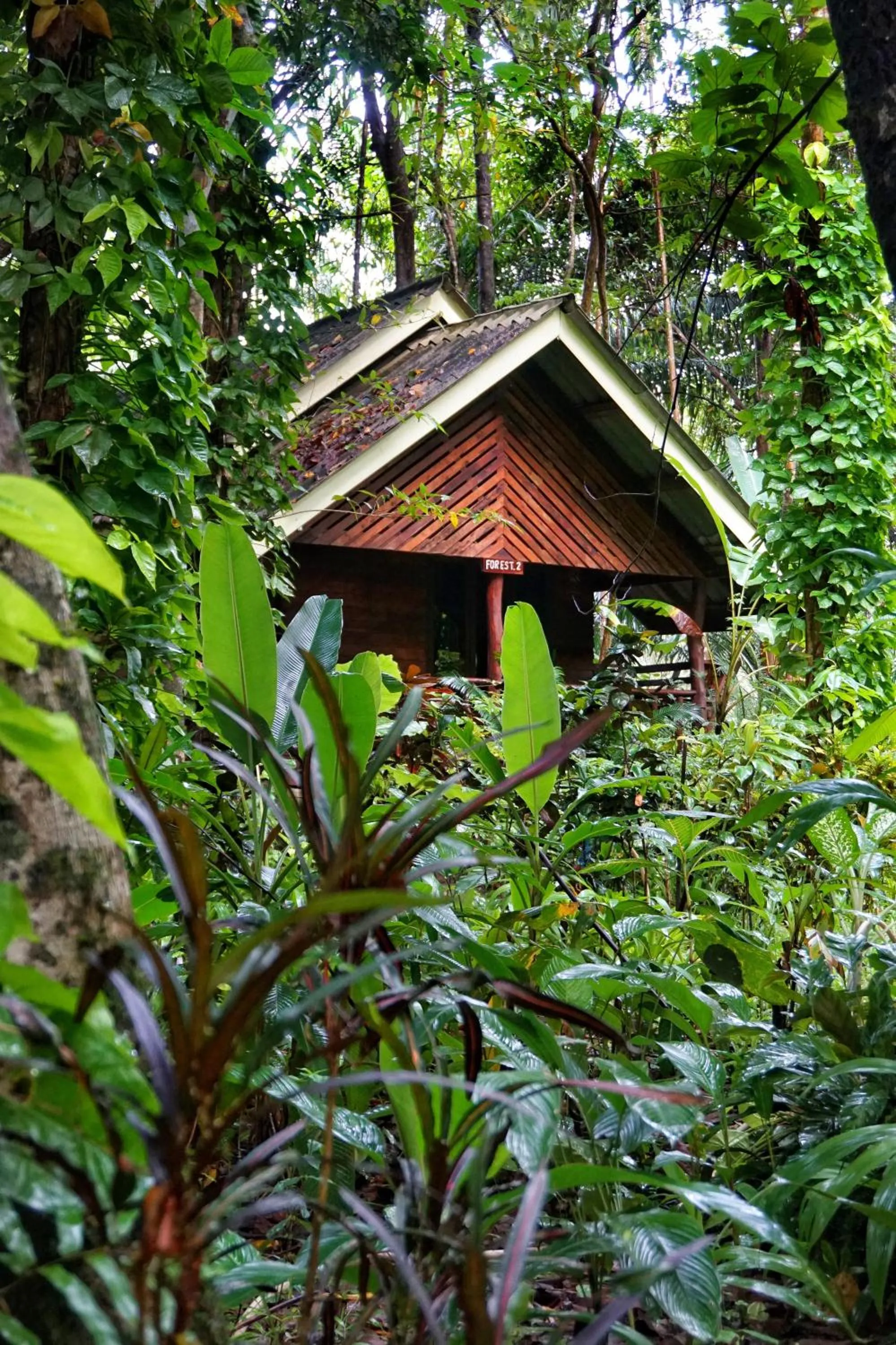 Natural landscape in Khao Sok Riverside Cottages