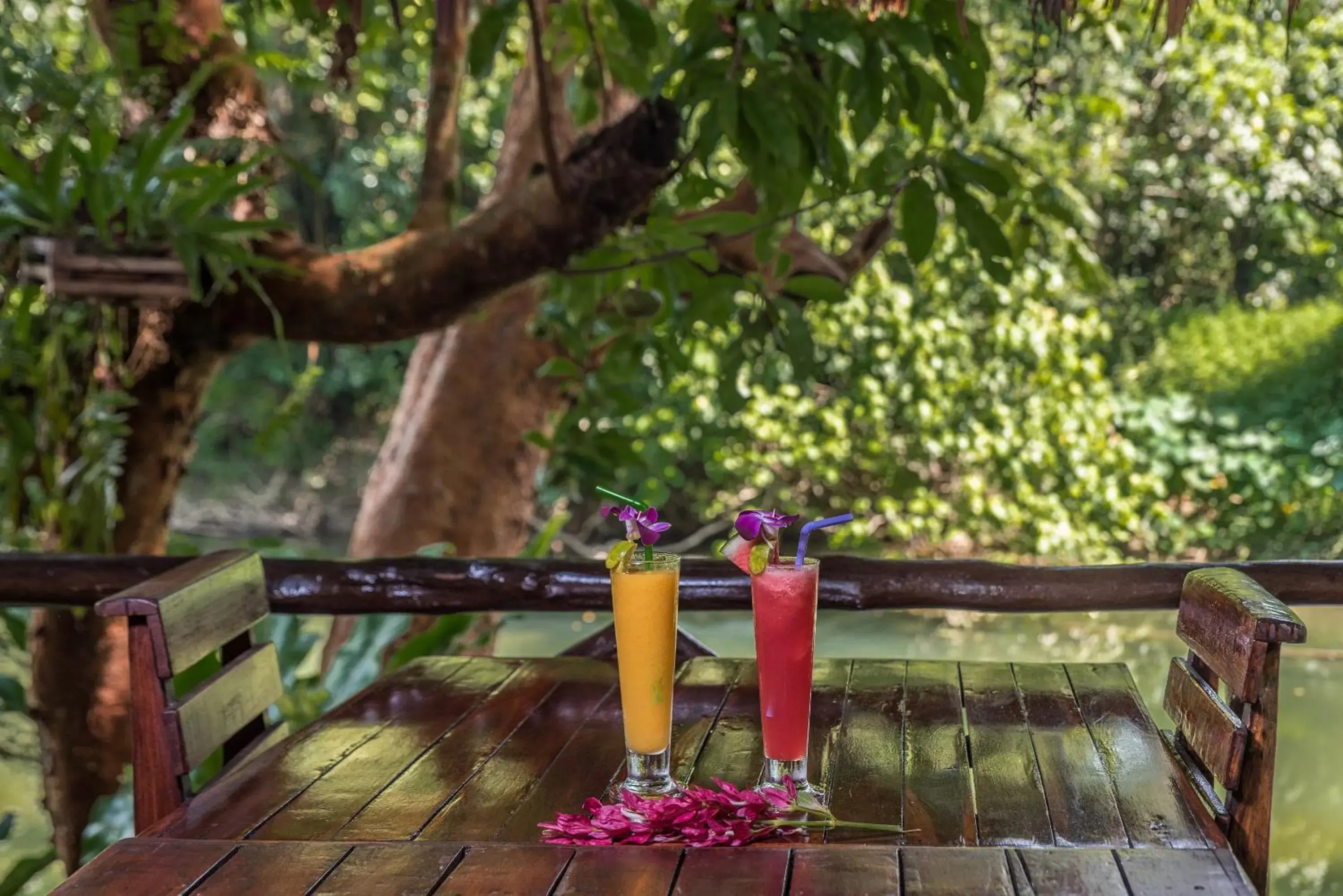 Restaurant/places to eat in Khao Sok Riverside Cottages Restaurant/places to eat in Khao Sok Riverside Cottages