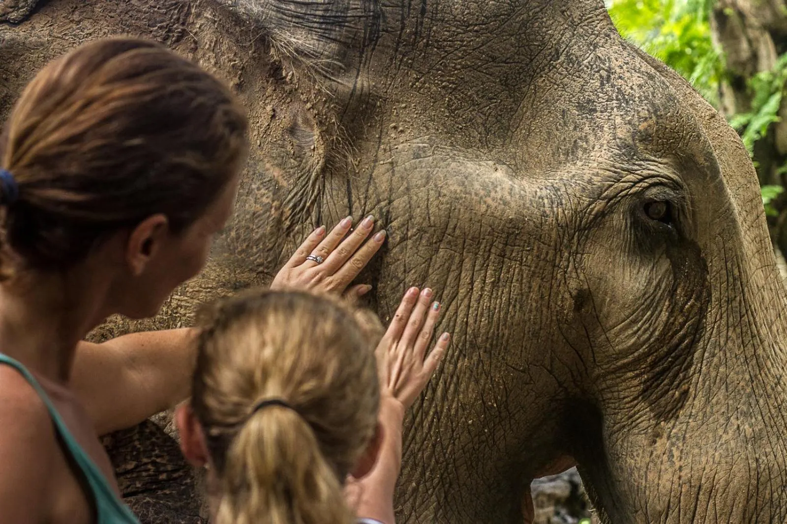 Activities in Khao Sok Riverside Cottages