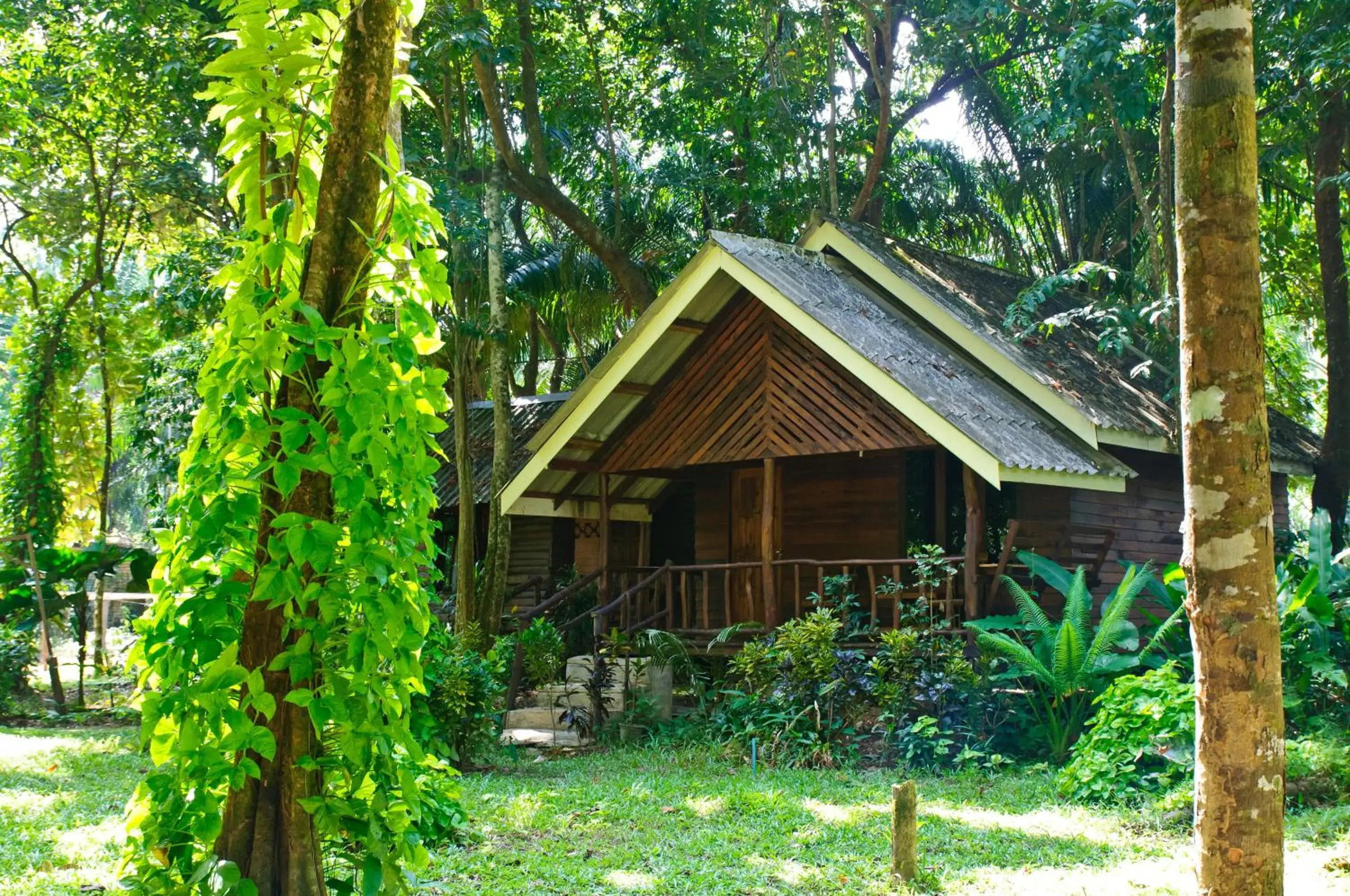 Property building in Khao Sok Riverside Cottages Property building in Khao Sok Riverside Cottages