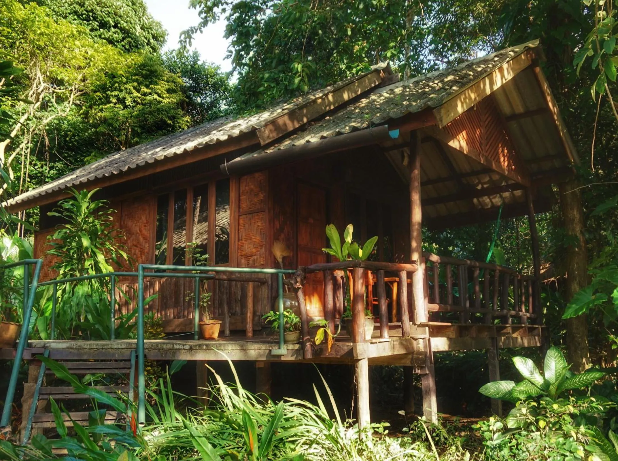 Natural landscape in Khao Sok Riverside Cottages