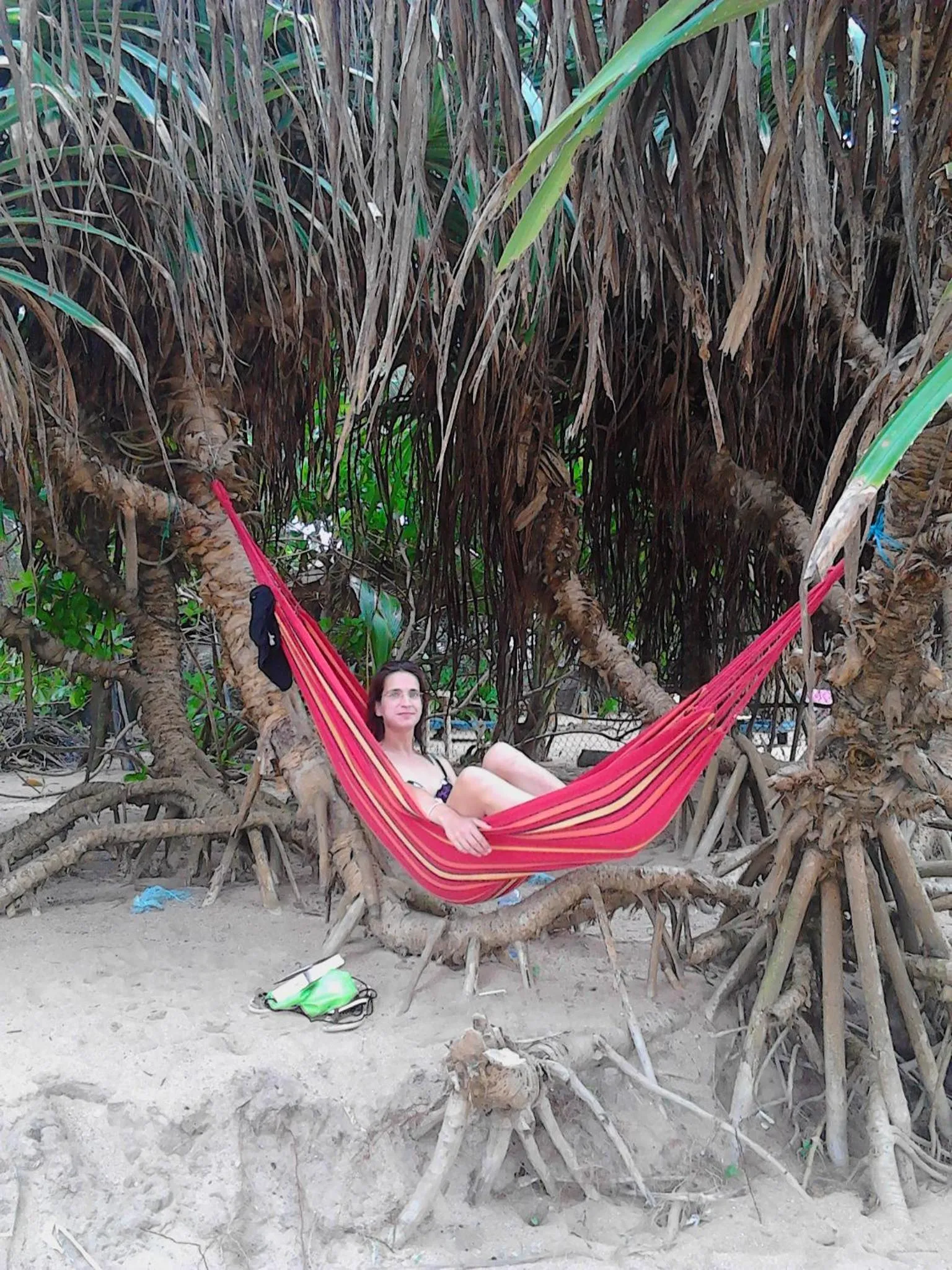 Garden in Arcade Beach Hotel