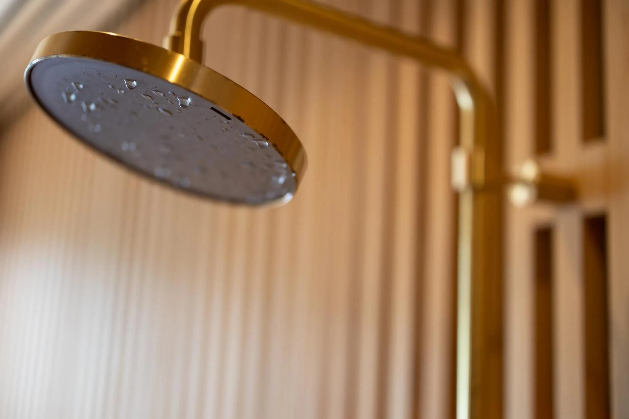 Hot Spring Bath in Kifuno Sato