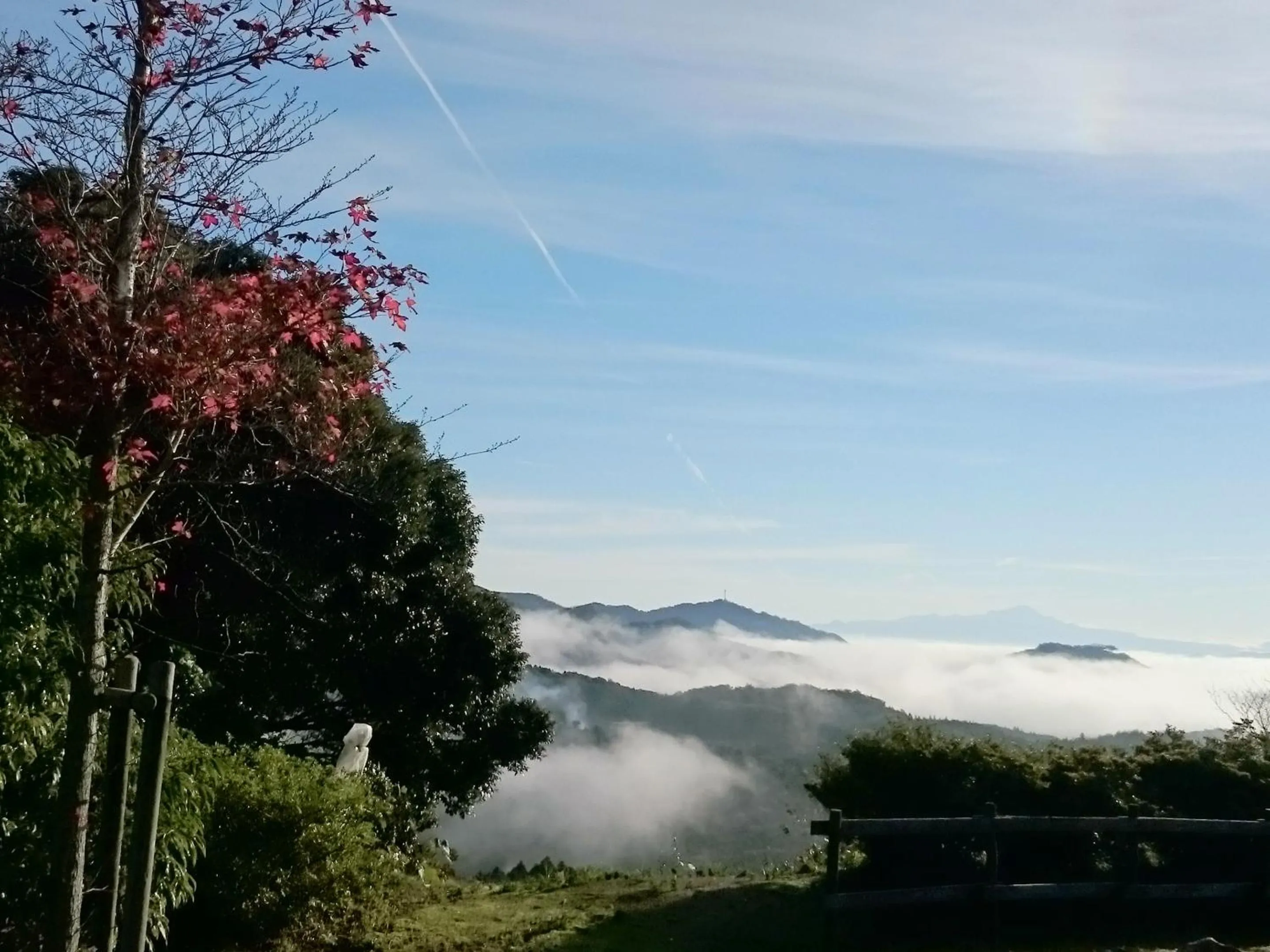 Natural landscape in Mt Ichibata Cottage