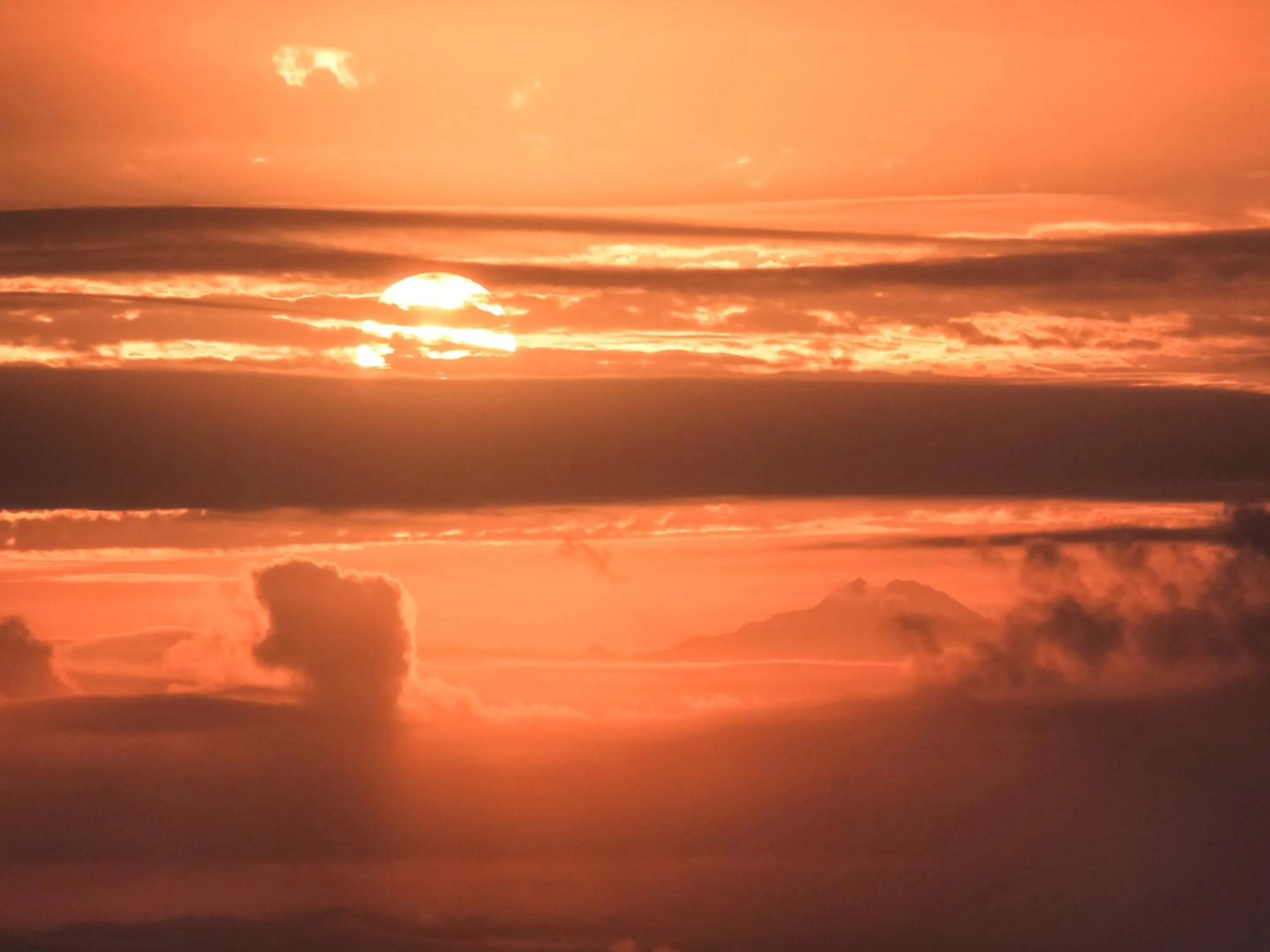 Natural landscape in Mt Ichibata Cottage