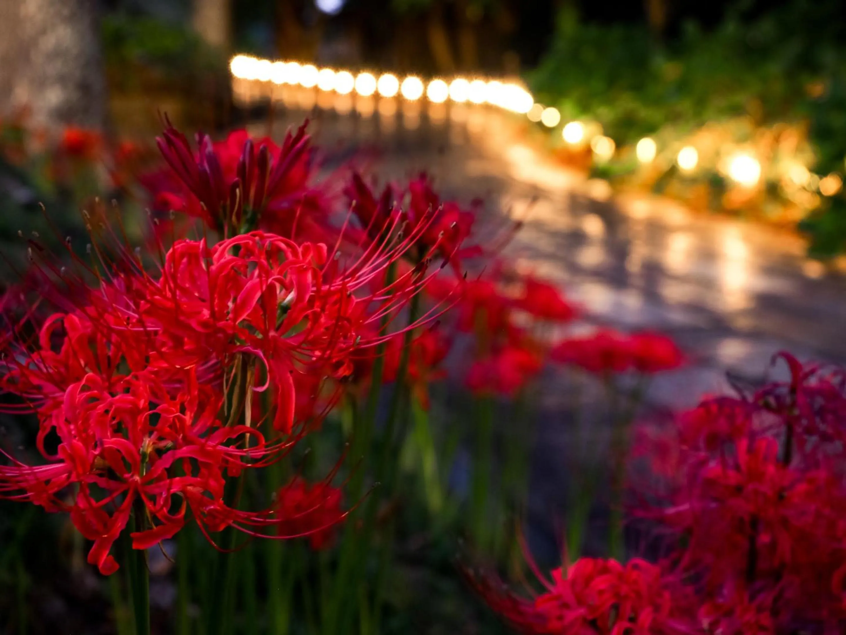 Nearby landmark in Mt Ichibata Cottage