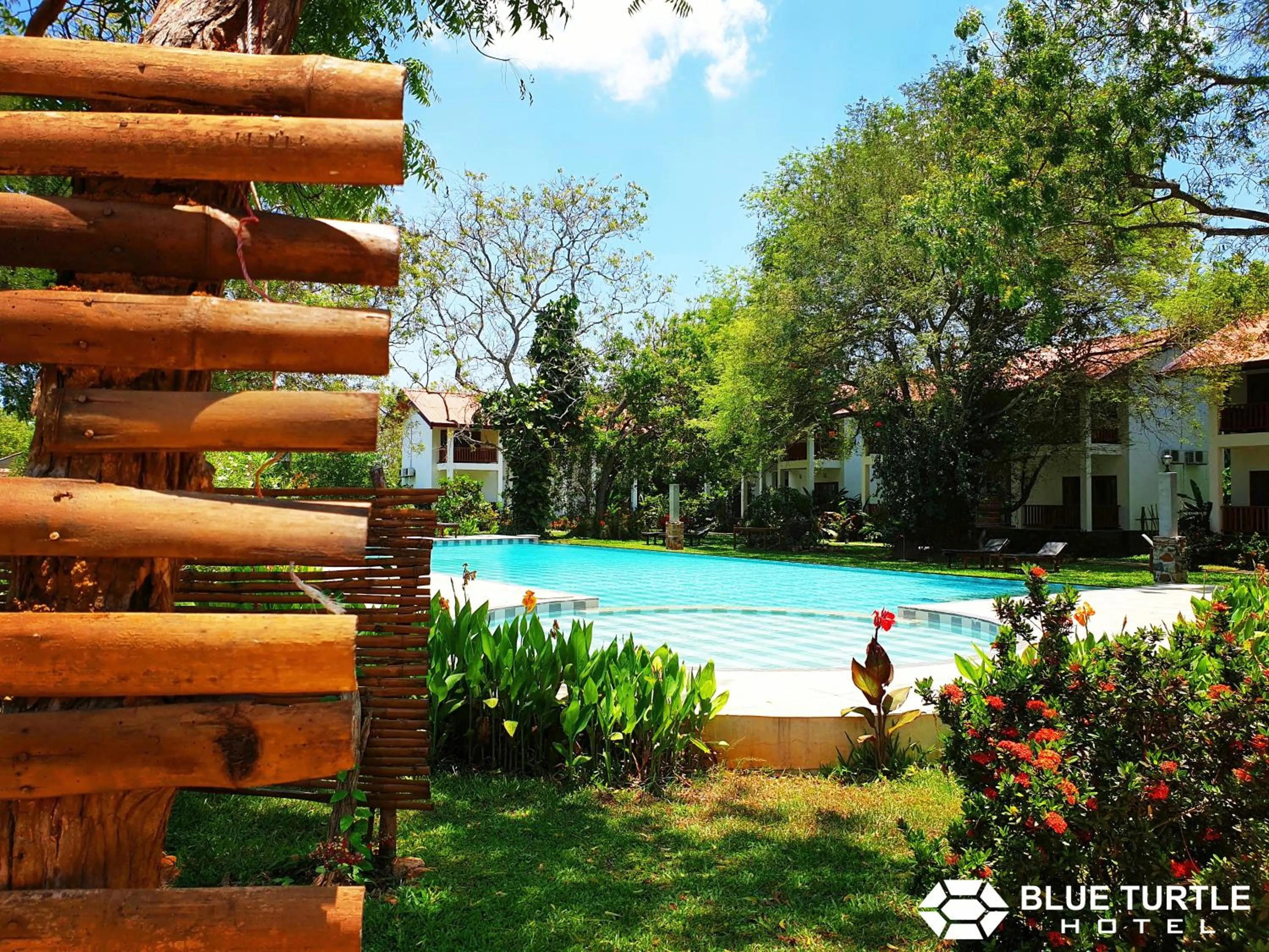 Garden in Blue Turtle Hotel