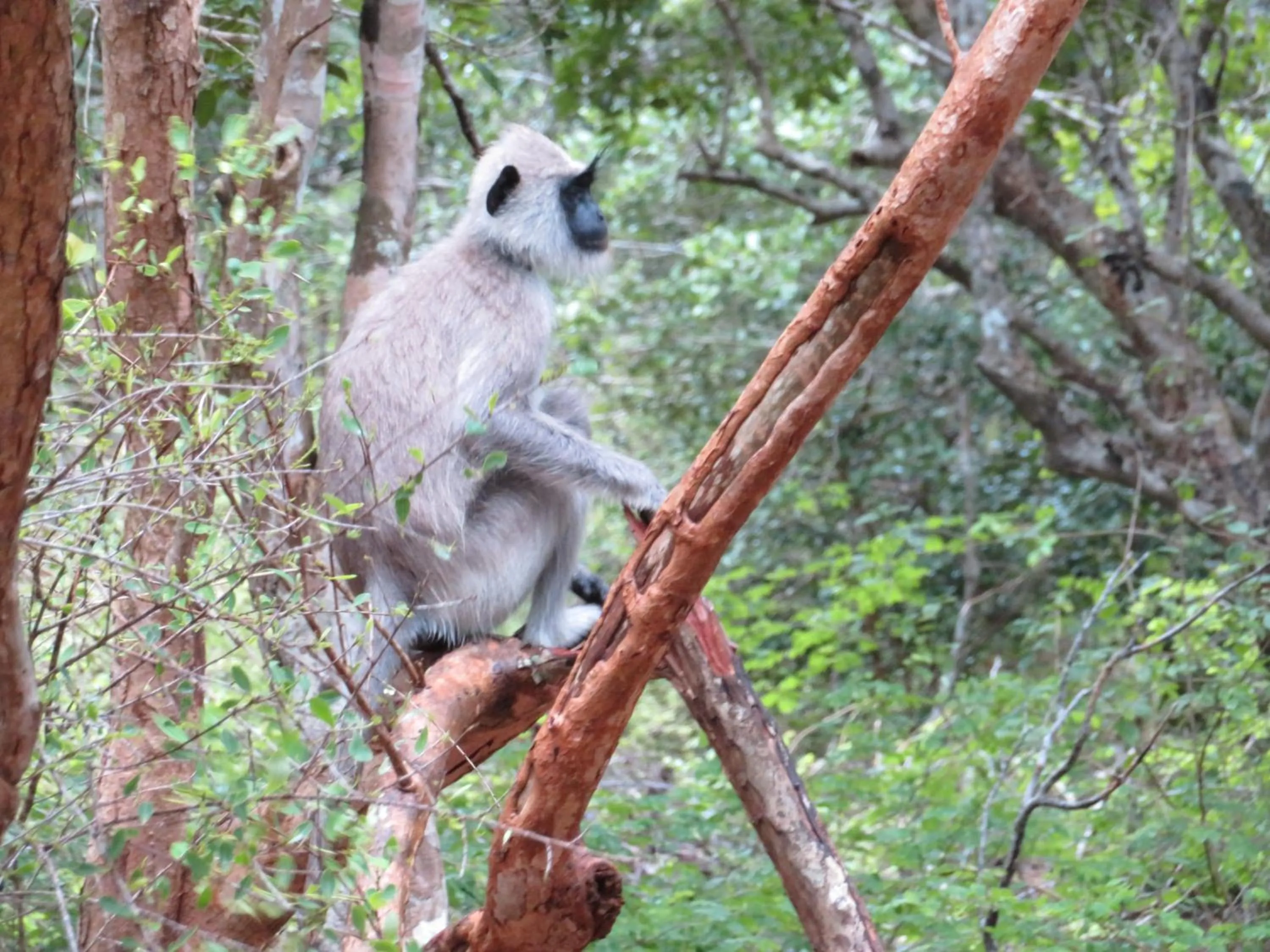 Activities in Blue Turtle Hotel