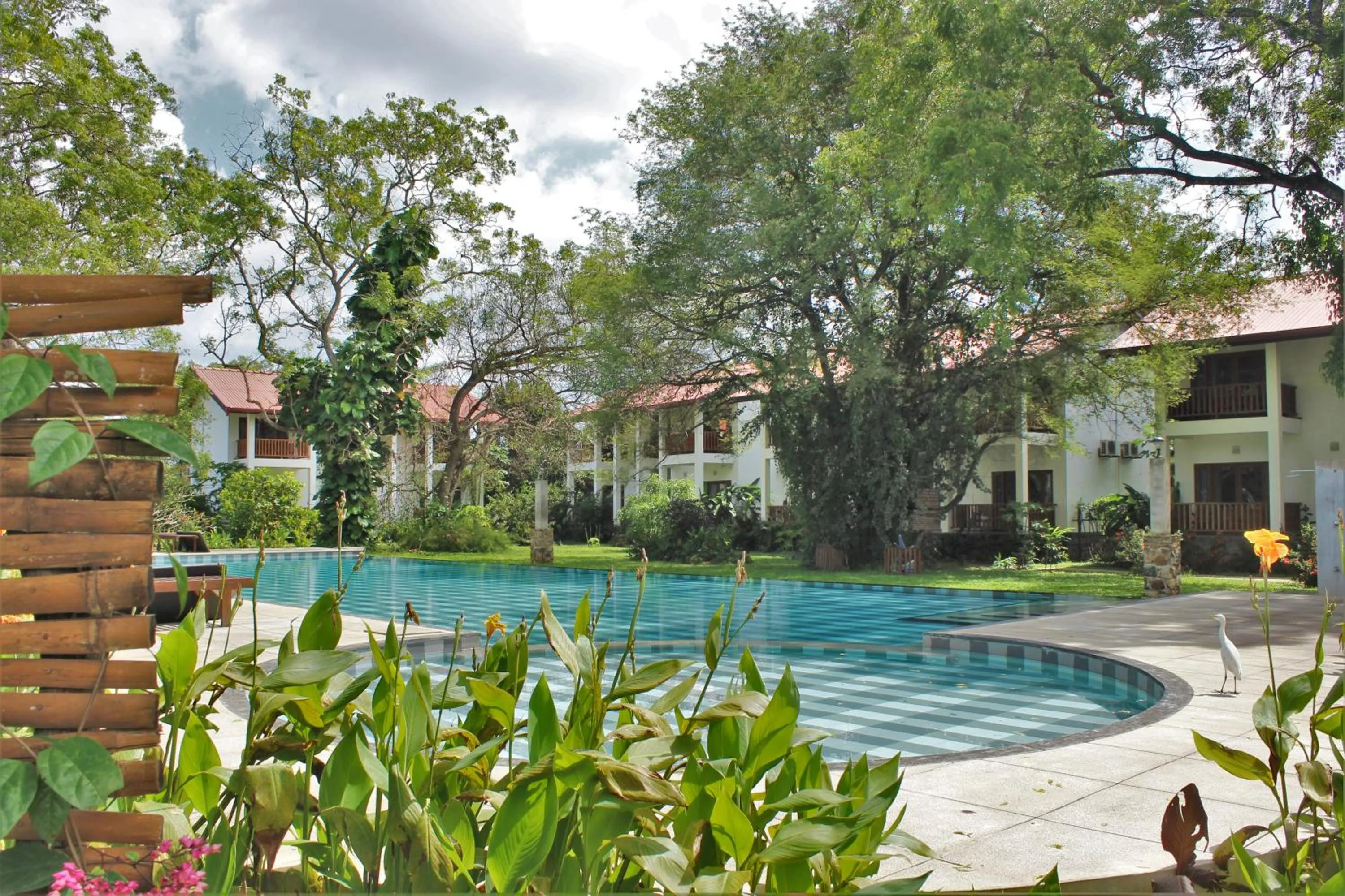 Bedroom in Blue Turtle Hotel