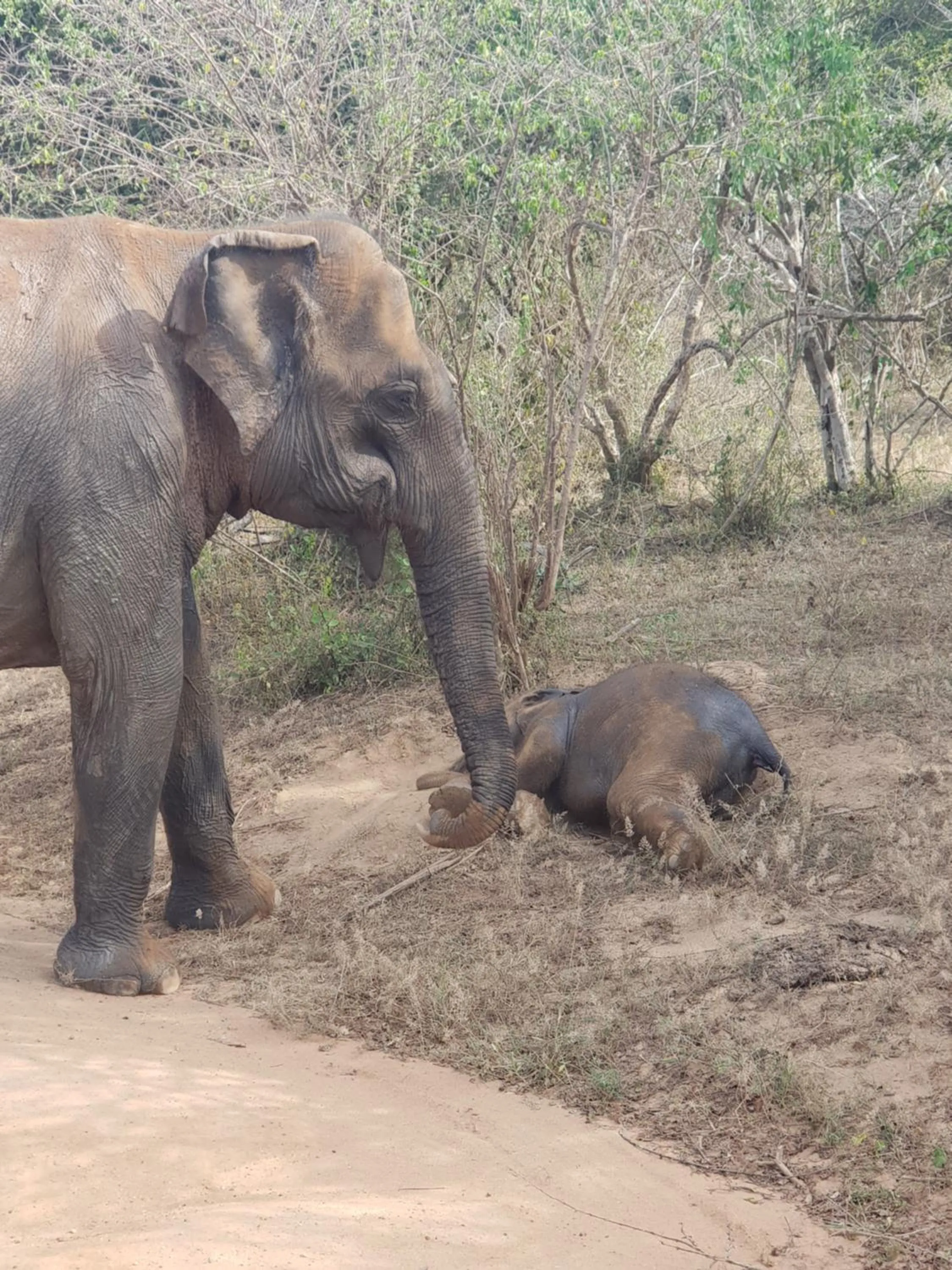 Activities in Blue Turtle Hotel