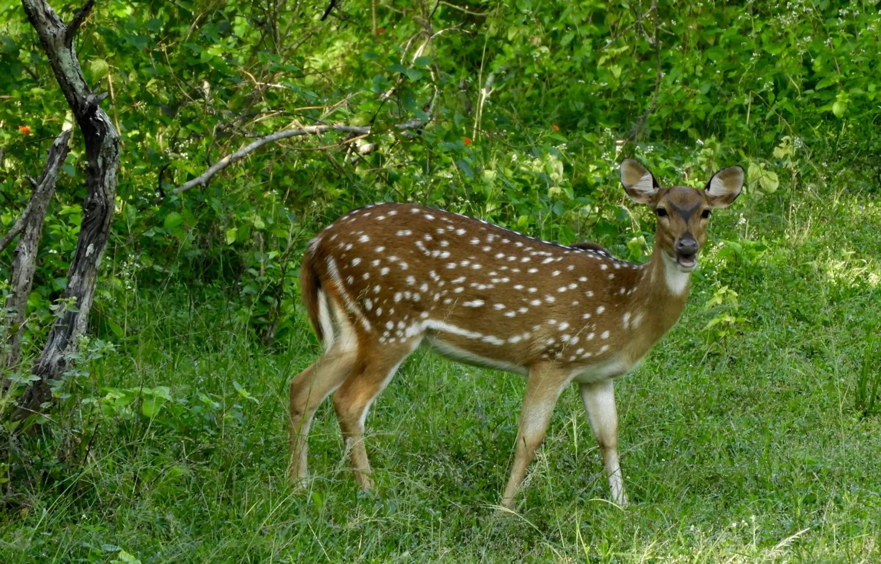 Activities in Blue Turtle Hotel