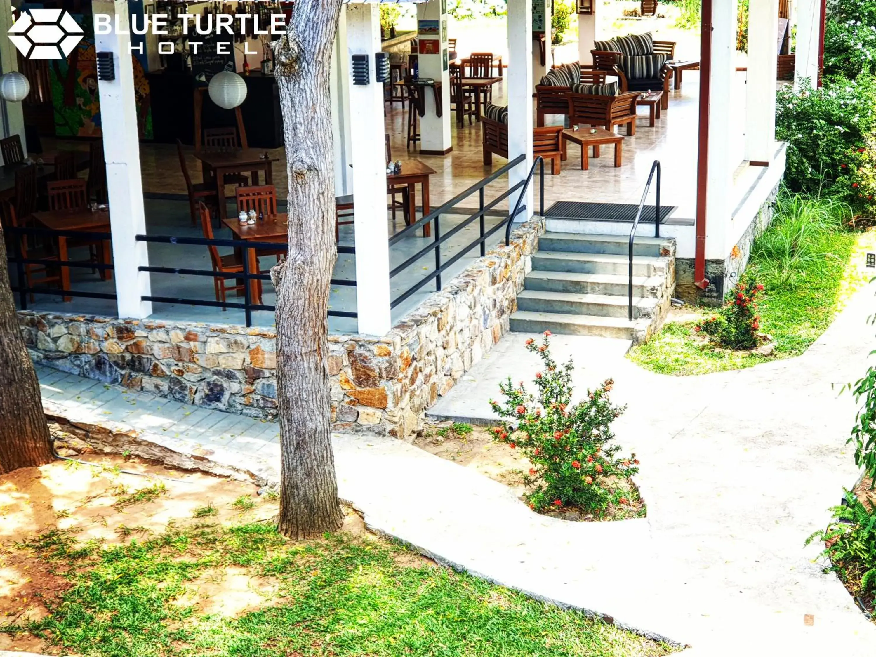 Restaurant/places to eat in Blue Turtle Hotel Restaurant/places to eat in Blue Turtle Hotel