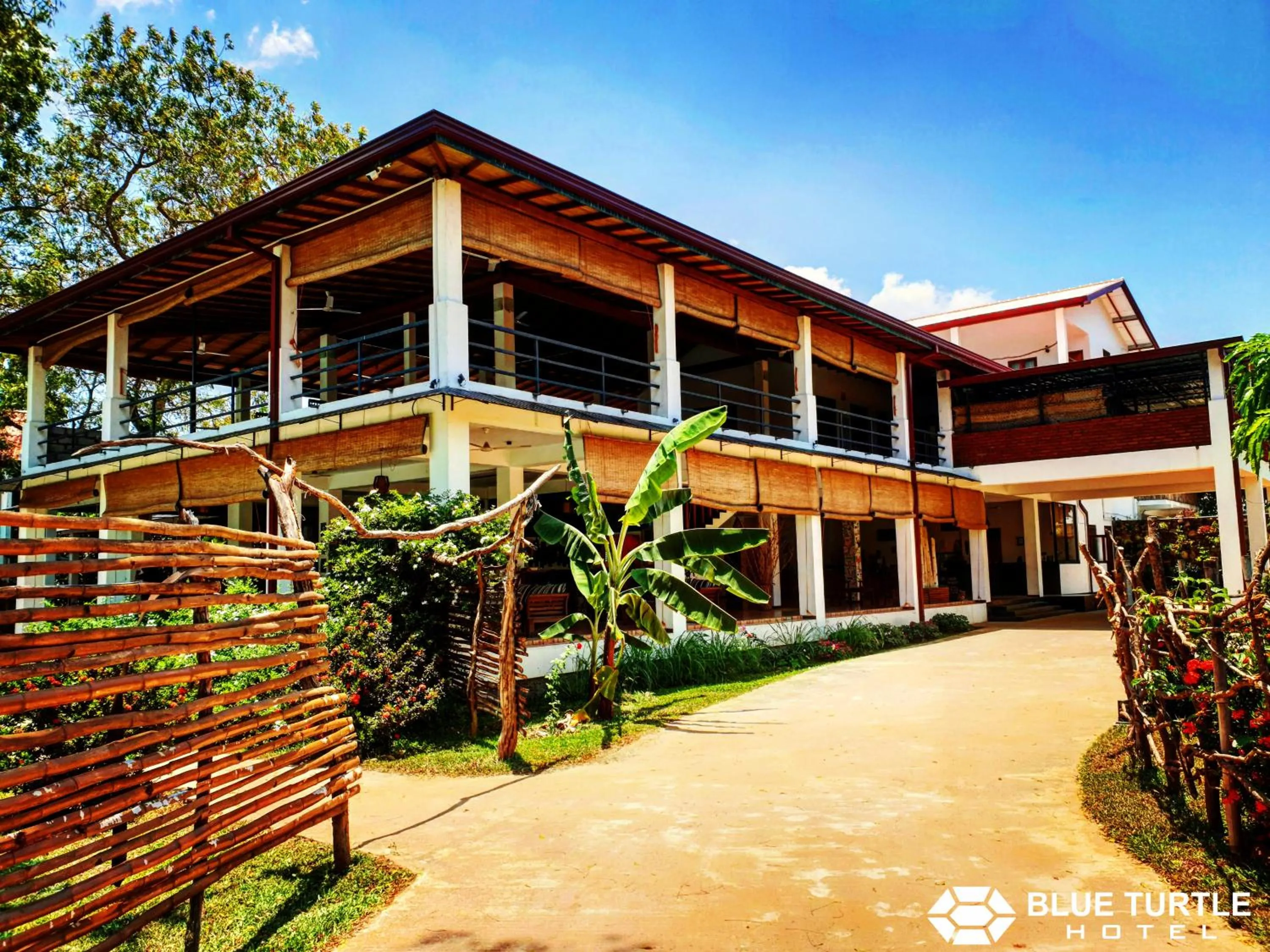 Property building in Blue Turtle Hotel