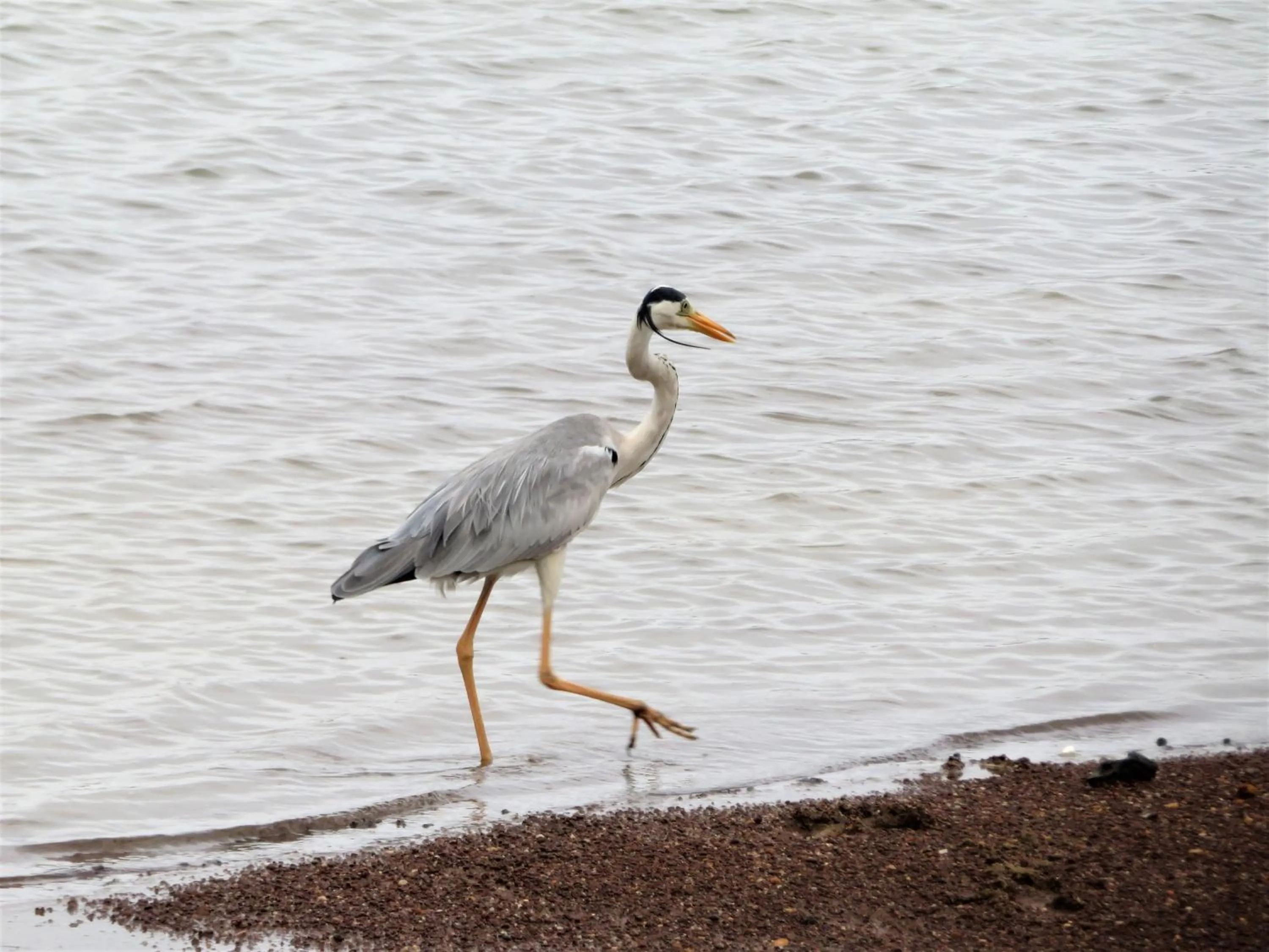 Activities in Blue Turtle Hotel