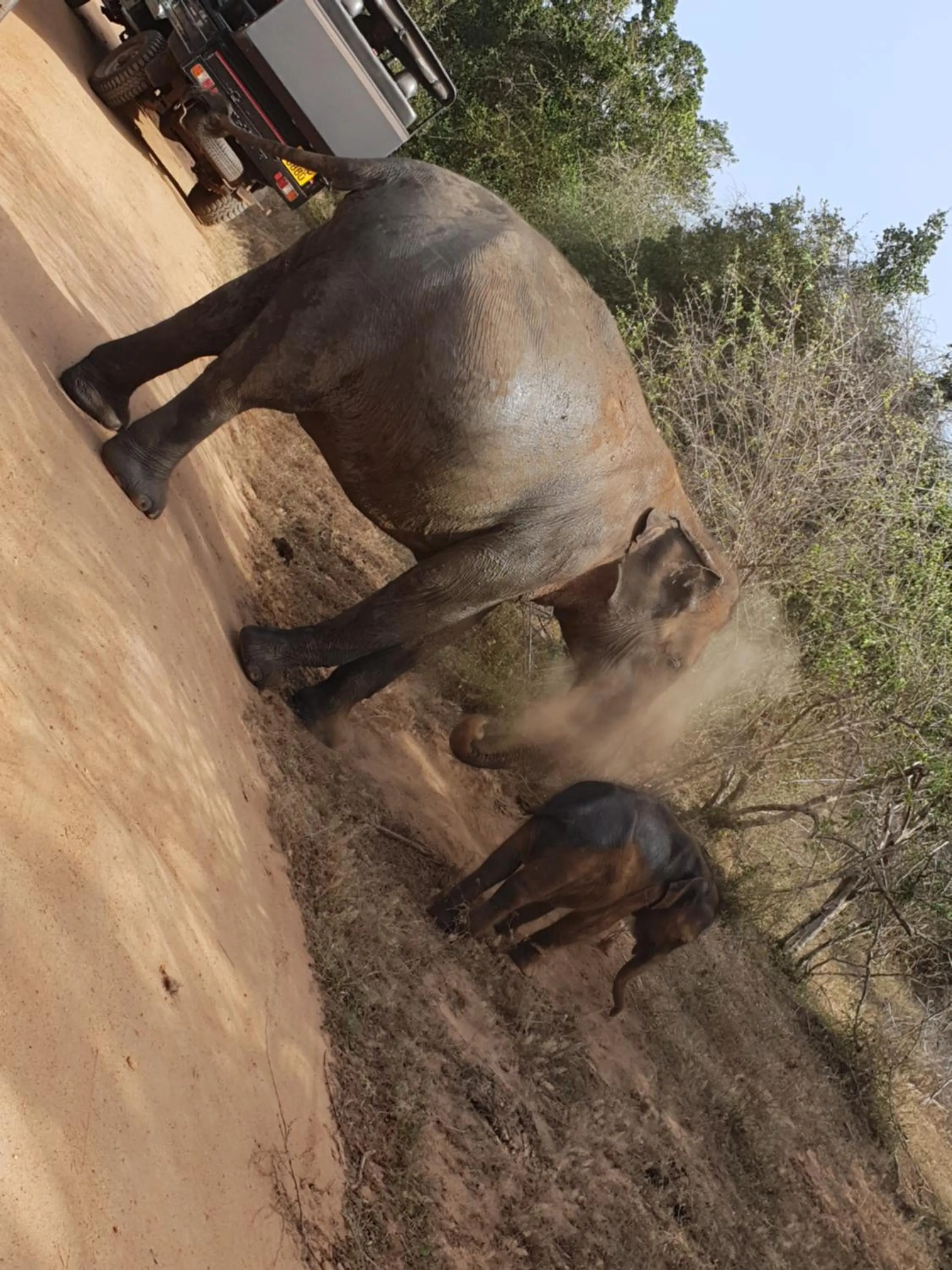 Activities in Blue Turtle Hotel