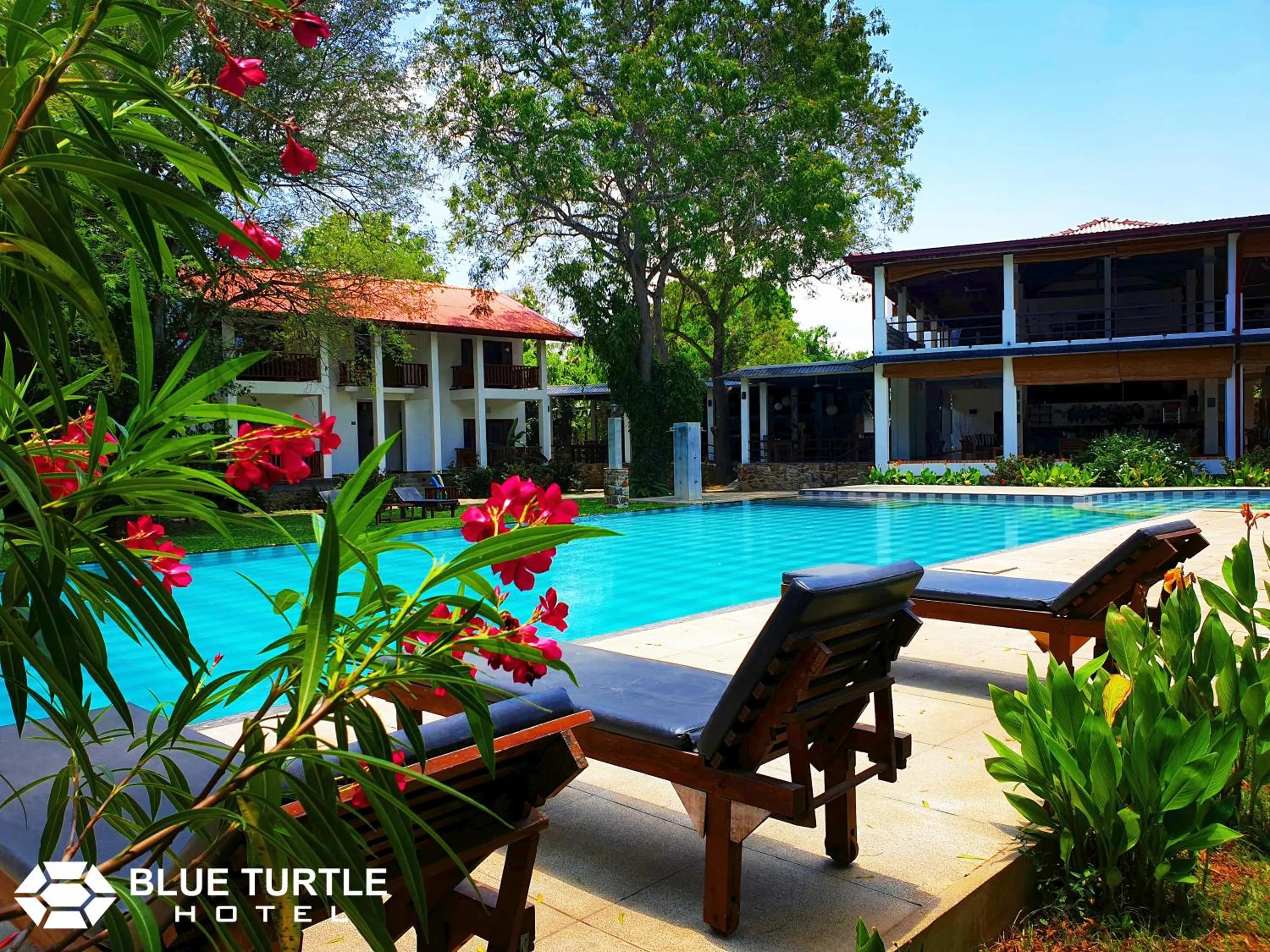 Property building in Blue Turtle Hotel