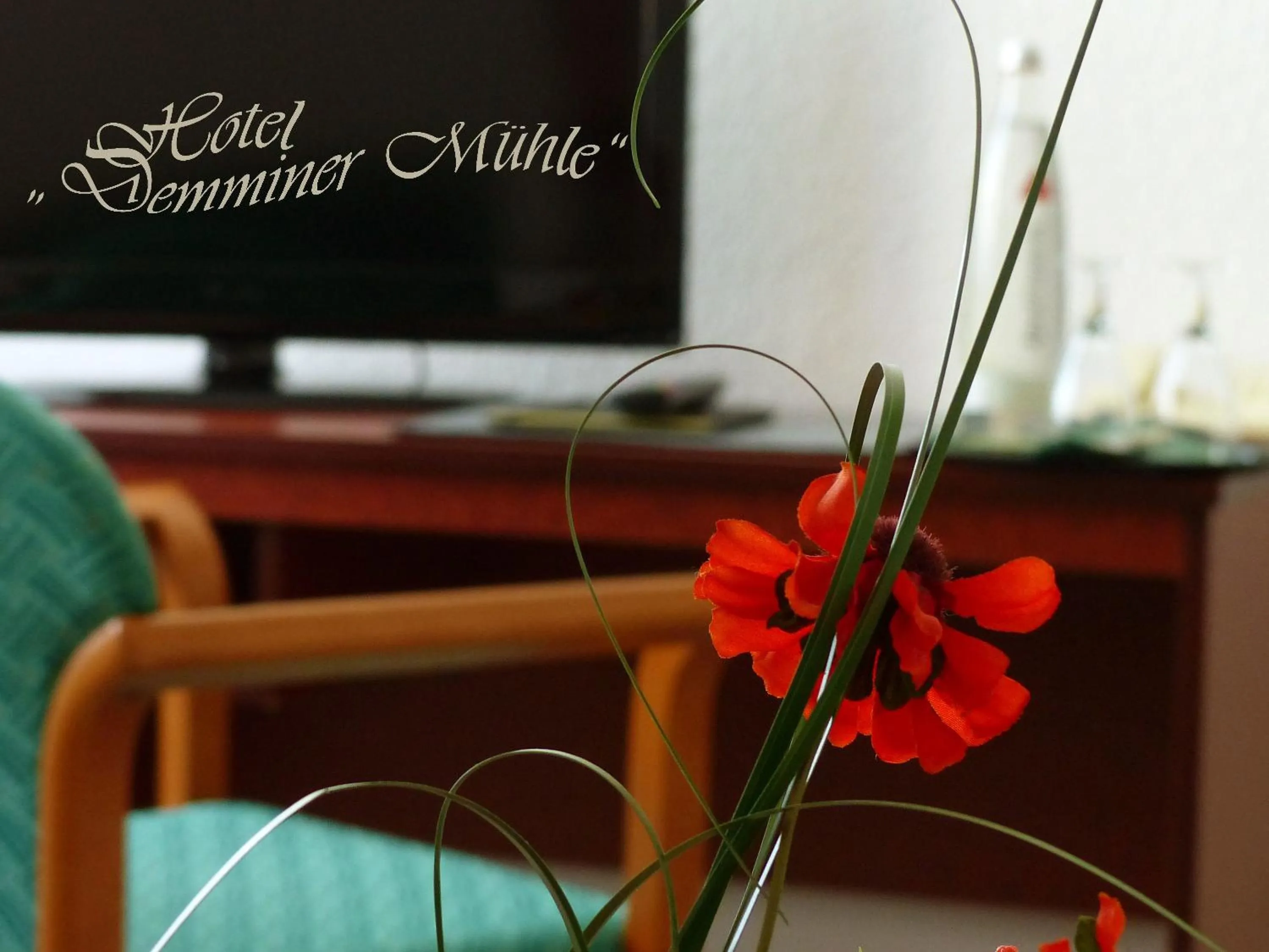 Other in Hotel Demminer Mühle