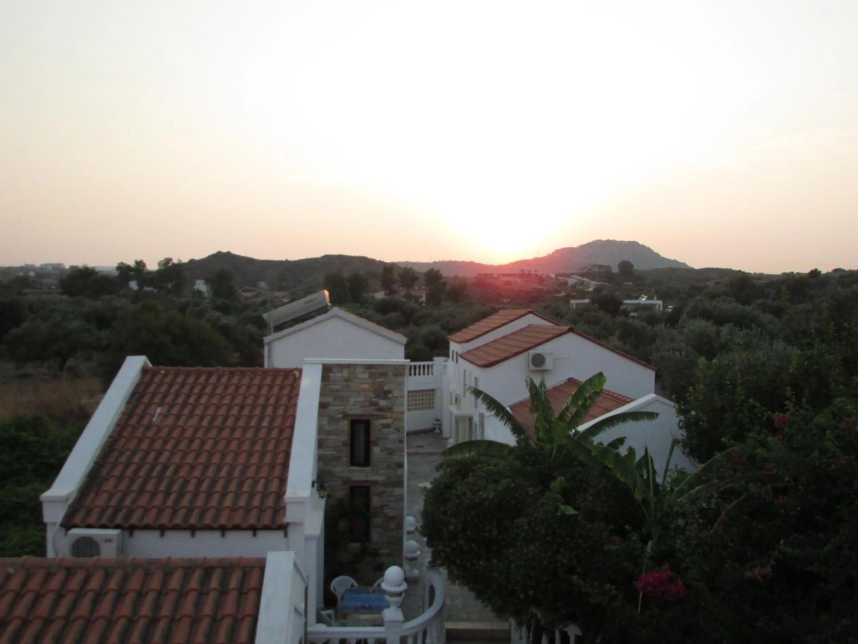 Castellino Studios