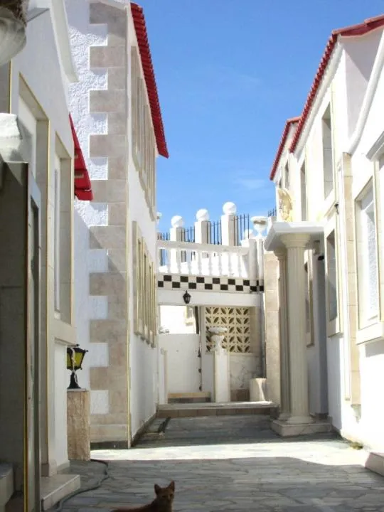 Castellino Studios