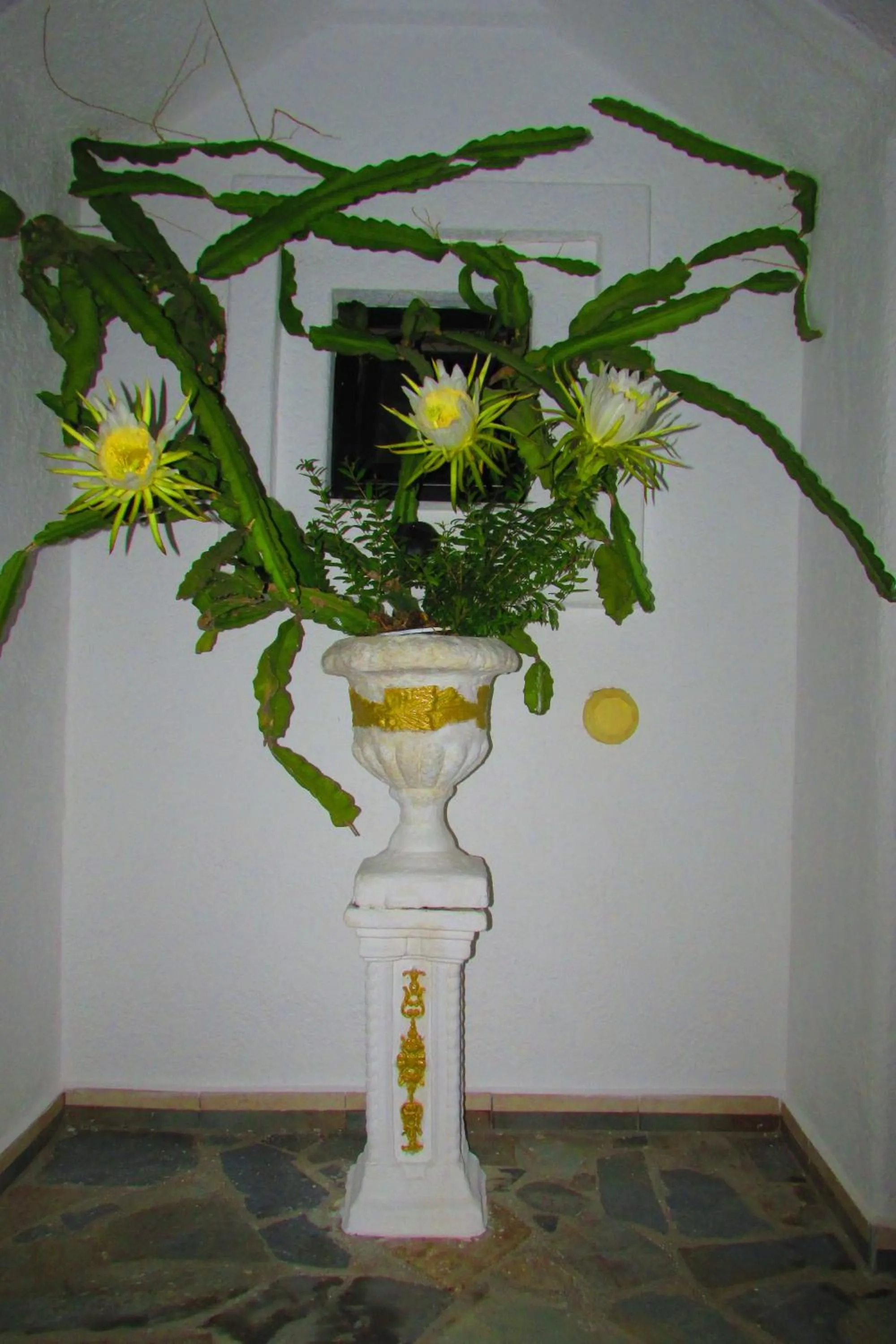 Natural landscape in Castellino Studios