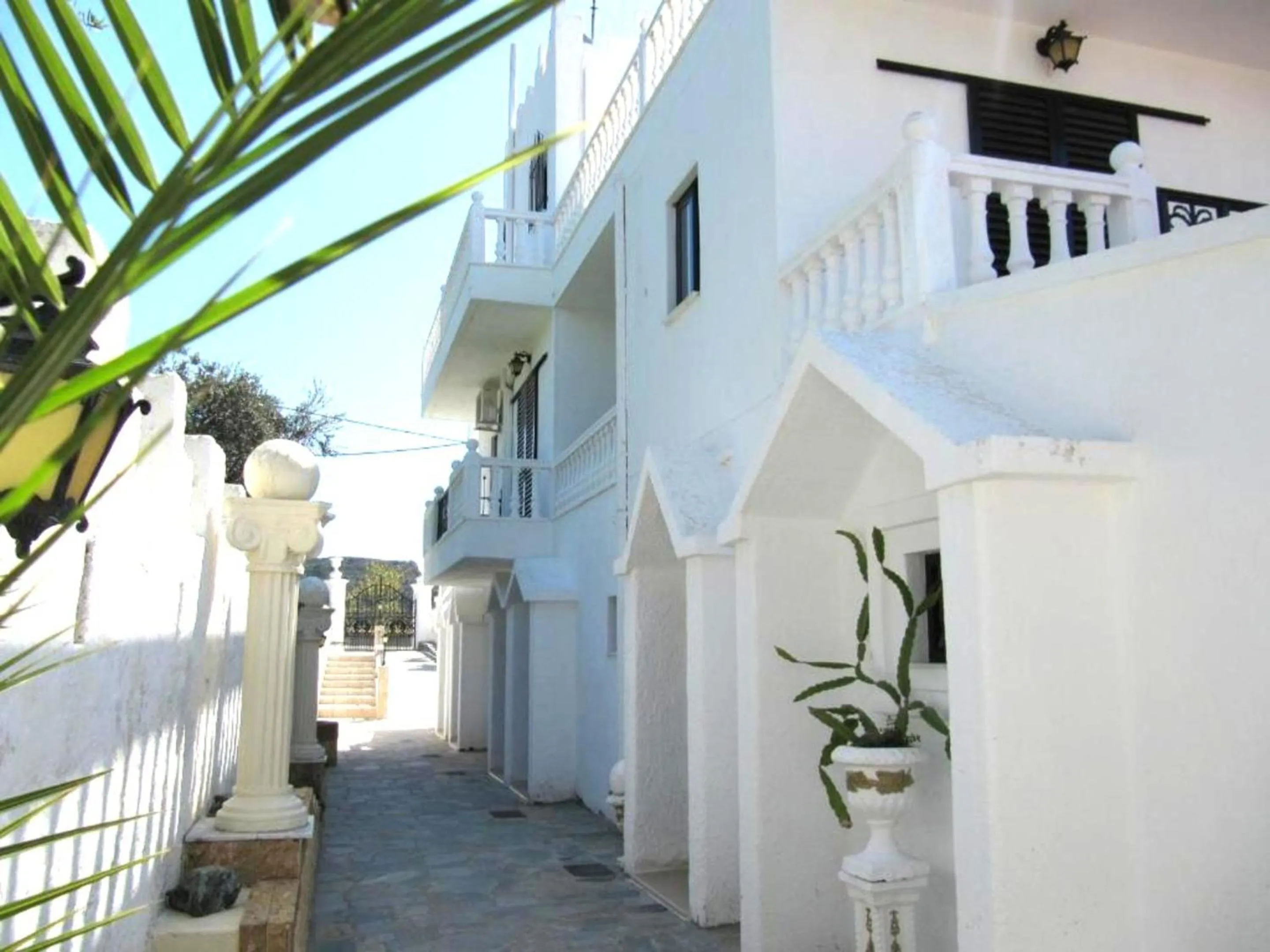 Castellino Studios