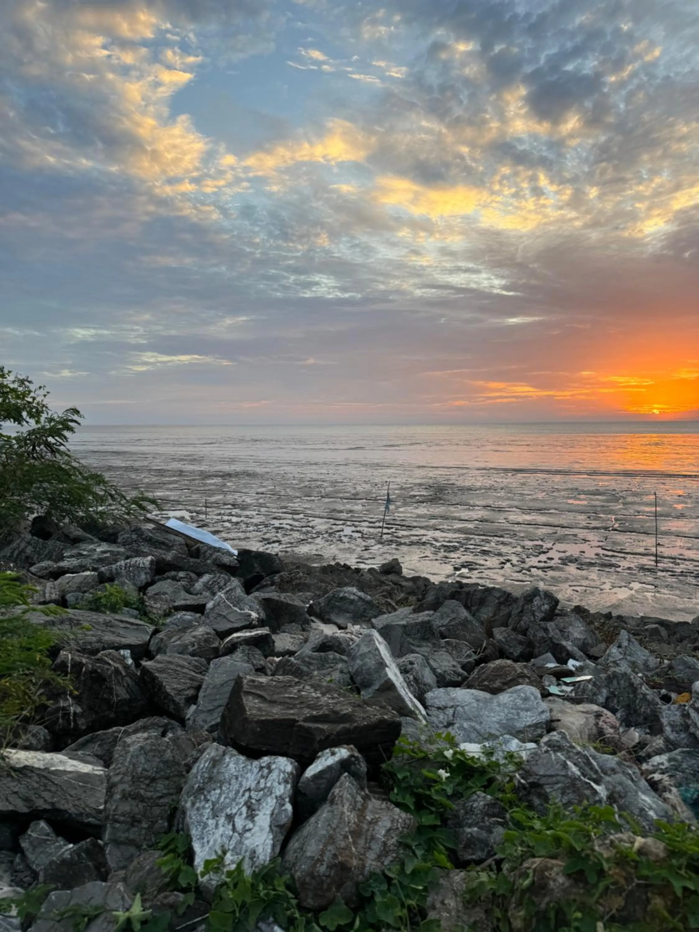 Oh My Batu Rakit Homestay Terengganu