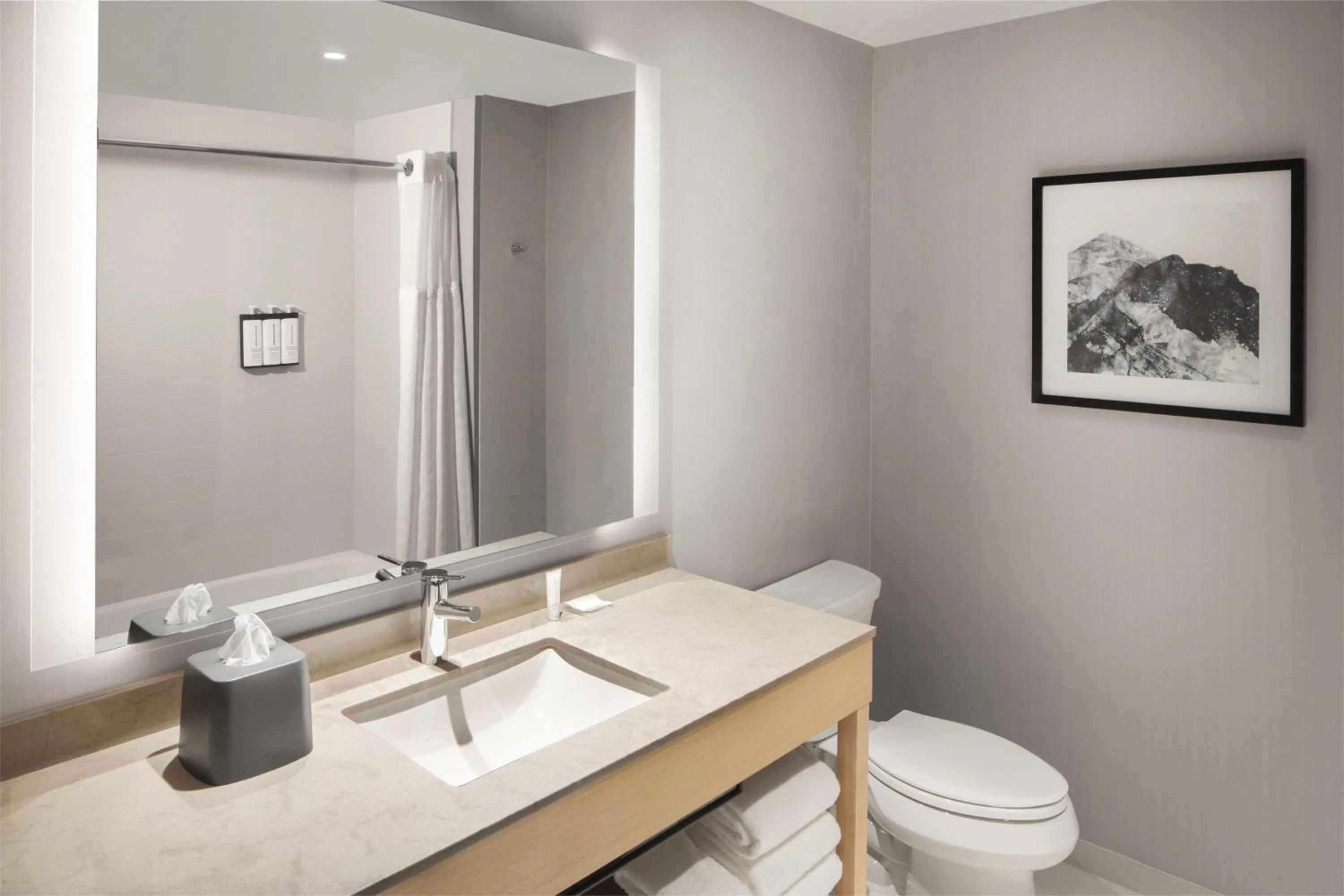 Bathroom in Hyatt Place Reno