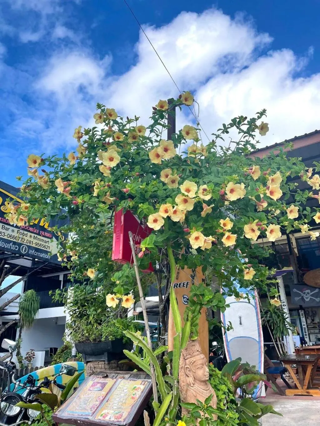 Hotel Seaview Pirates Terrace