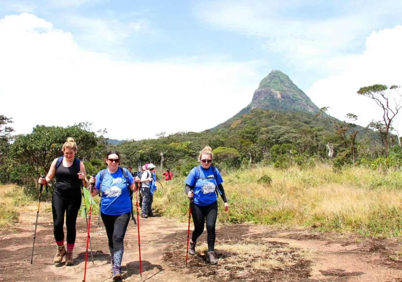 Activities in Belihuloya Adventure Camp By Eco Team