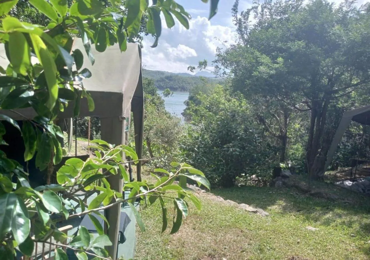 View (from property/room) in Belihuloya Adventure Camp By Eco Team