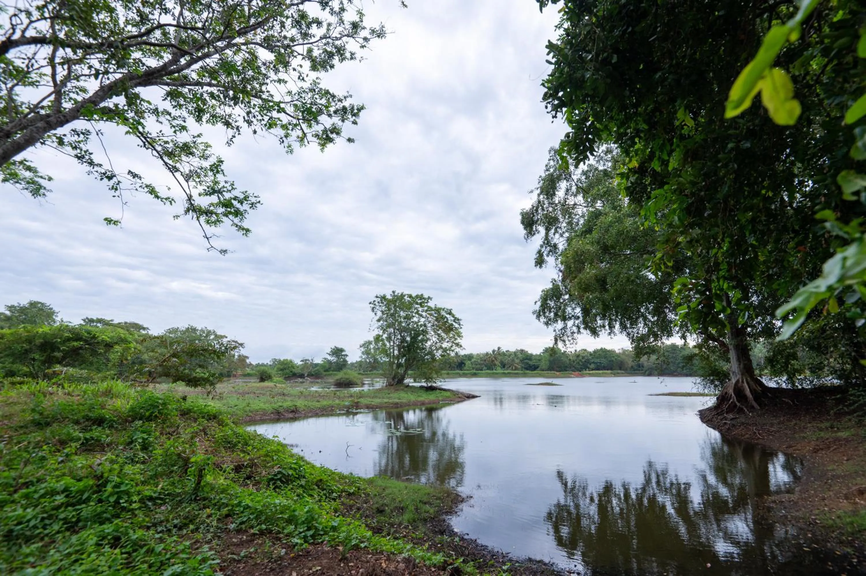 Lake view in Ayurvedic Lanka Wellness Hotel