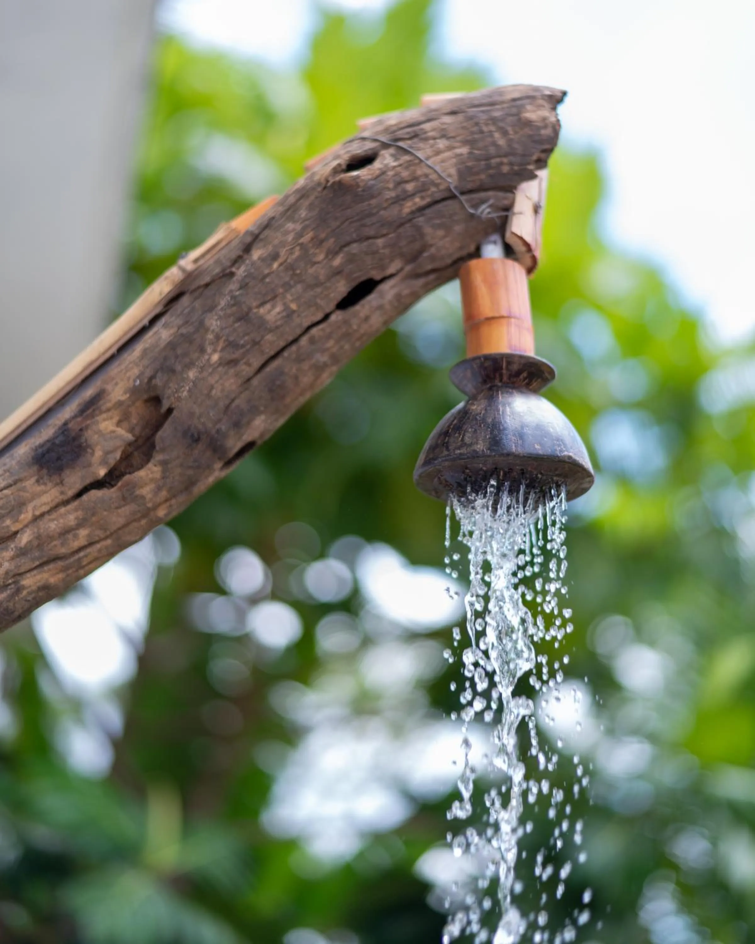 Property building in Ayurvedic Lanka Wellness Hotel