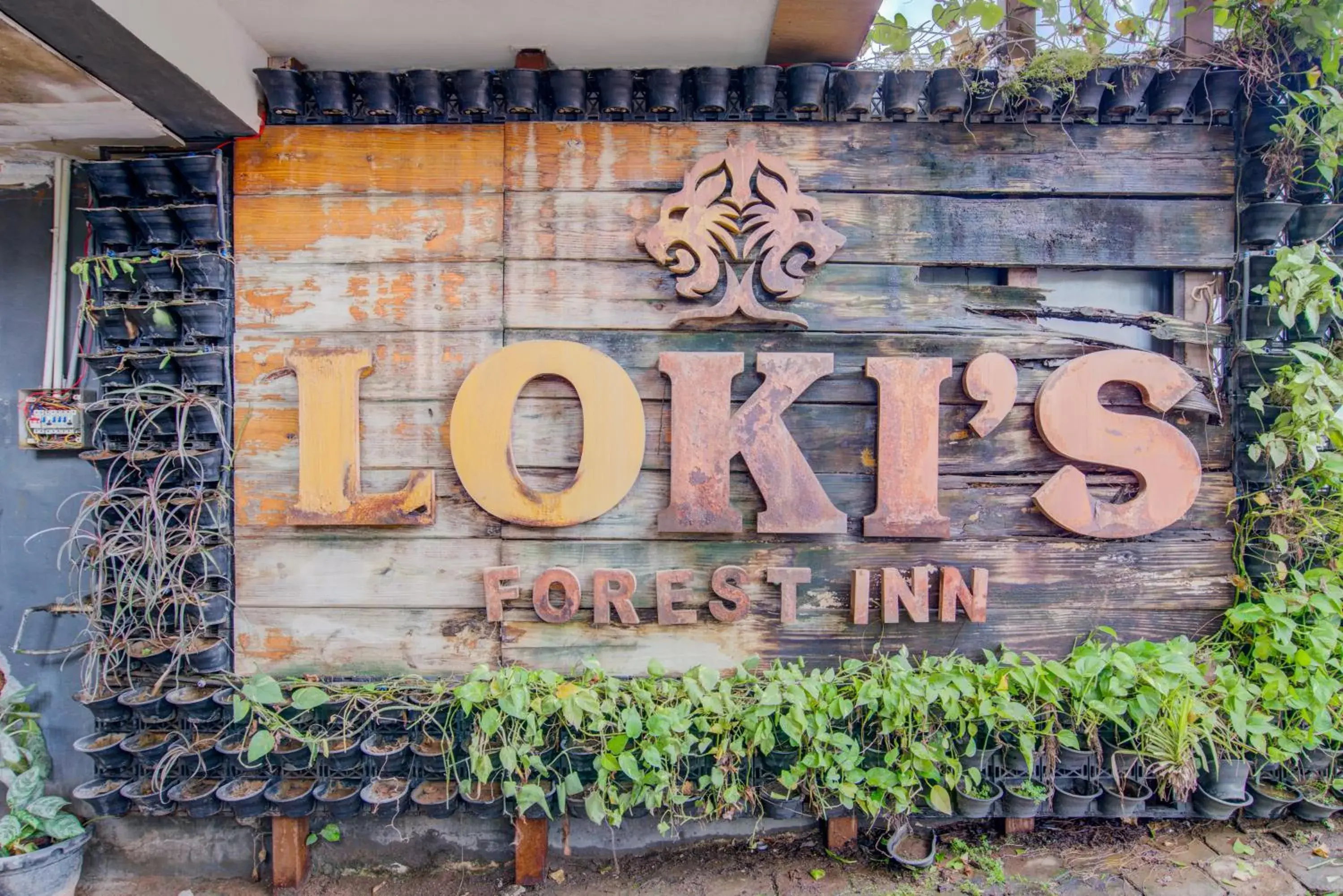 Facade/entrance in Hotel Lokis Forest Inn L B Nagar Facade/entrance in Hotel Lokis Forest Inn L B Nagar