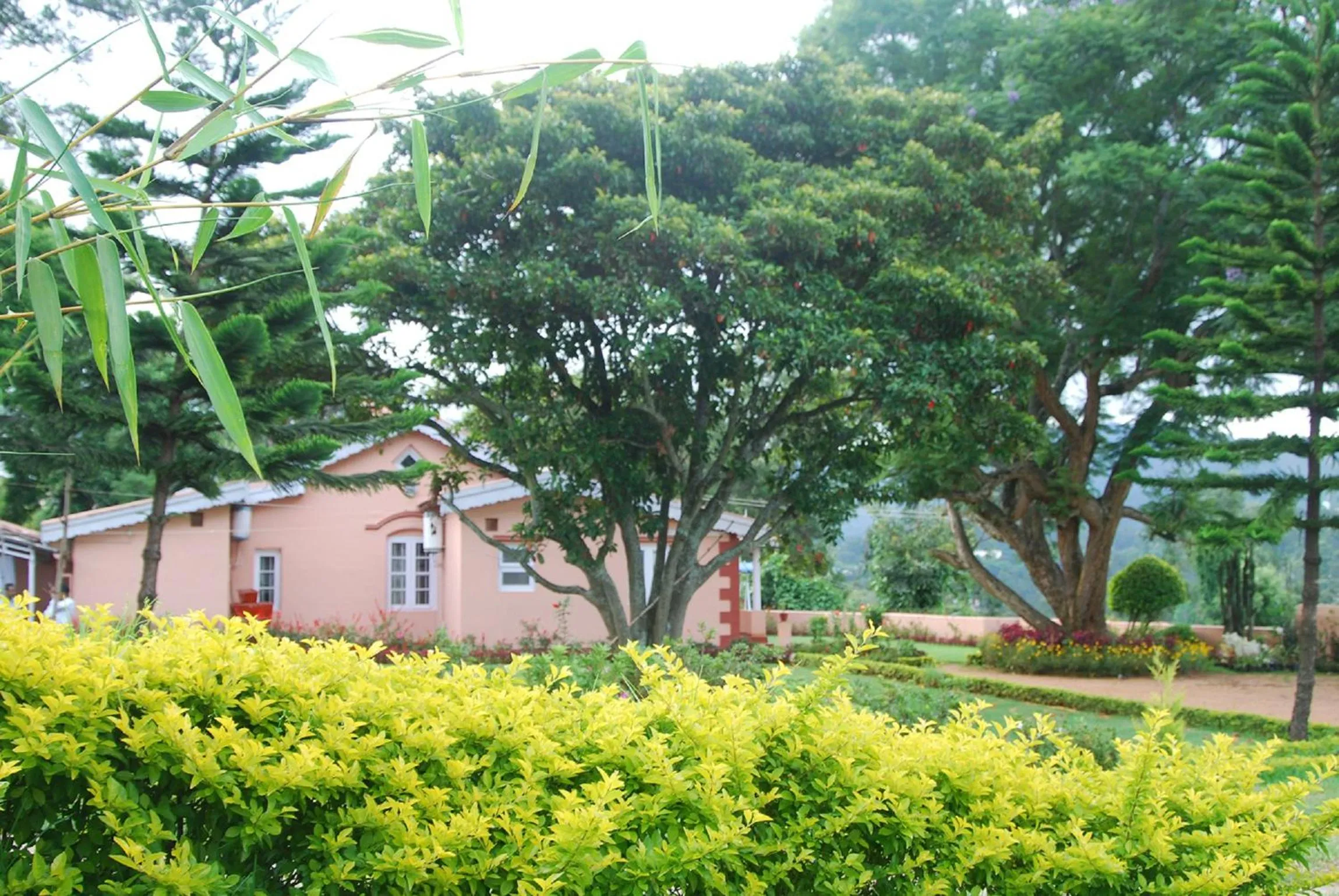 Garden in Bella Vista Homestay