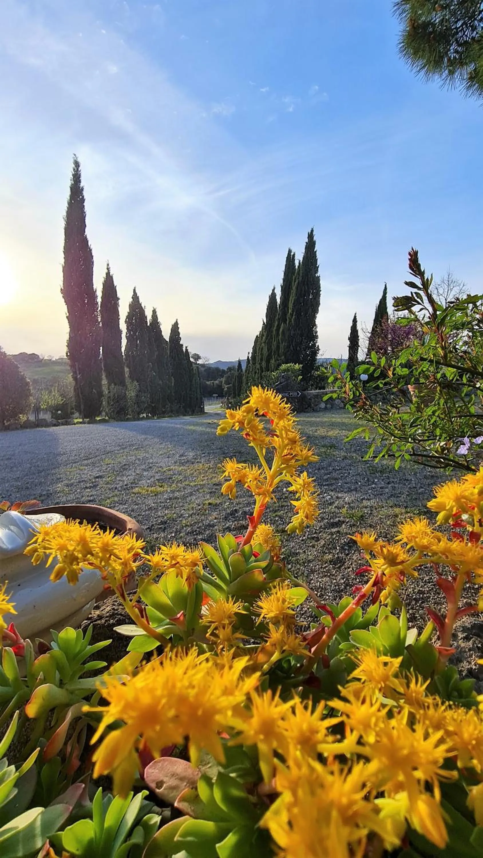 Facade/entrance in Antico Borgo Il Cardino