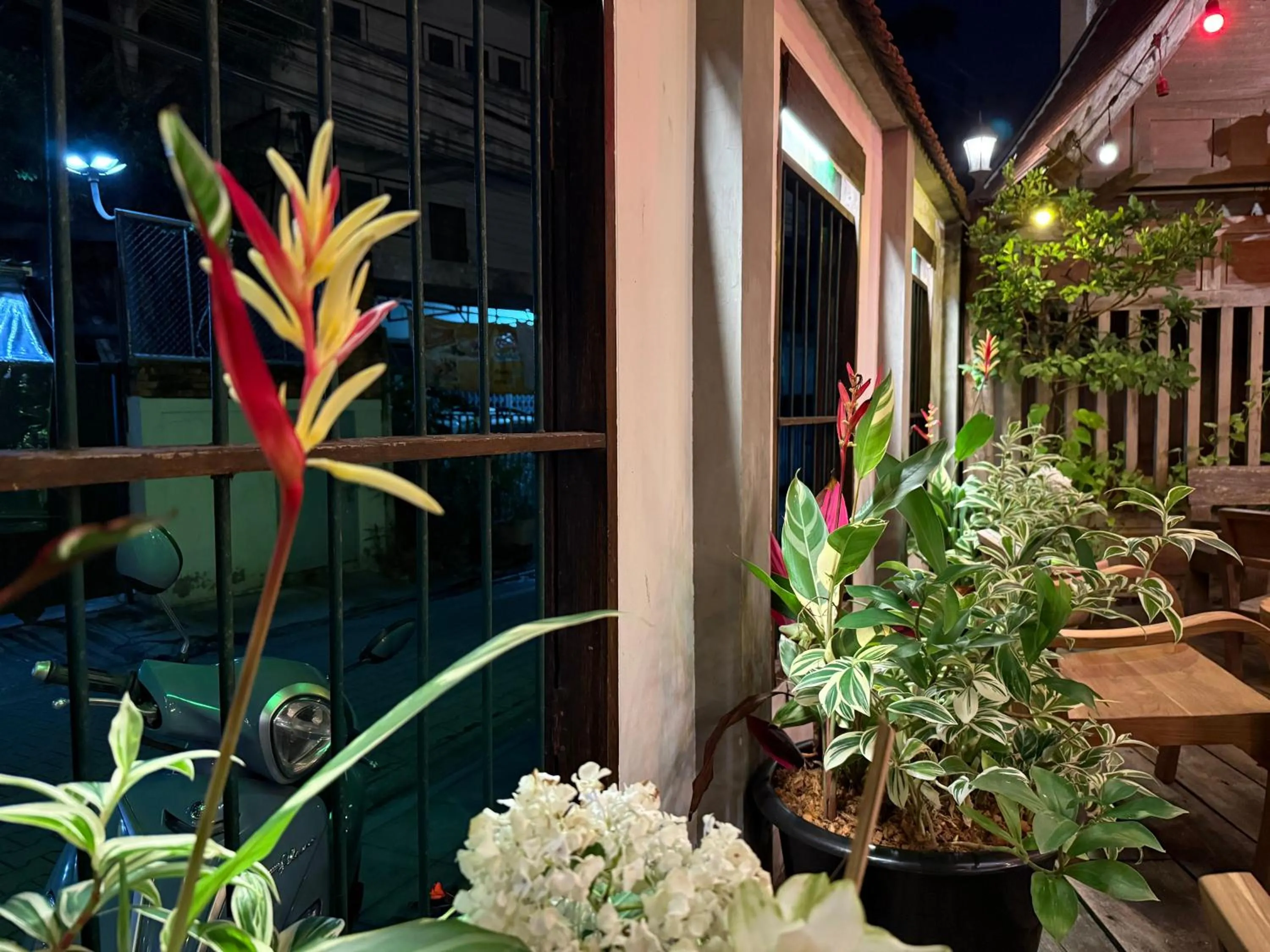 Garden in Khom Chiang Mai