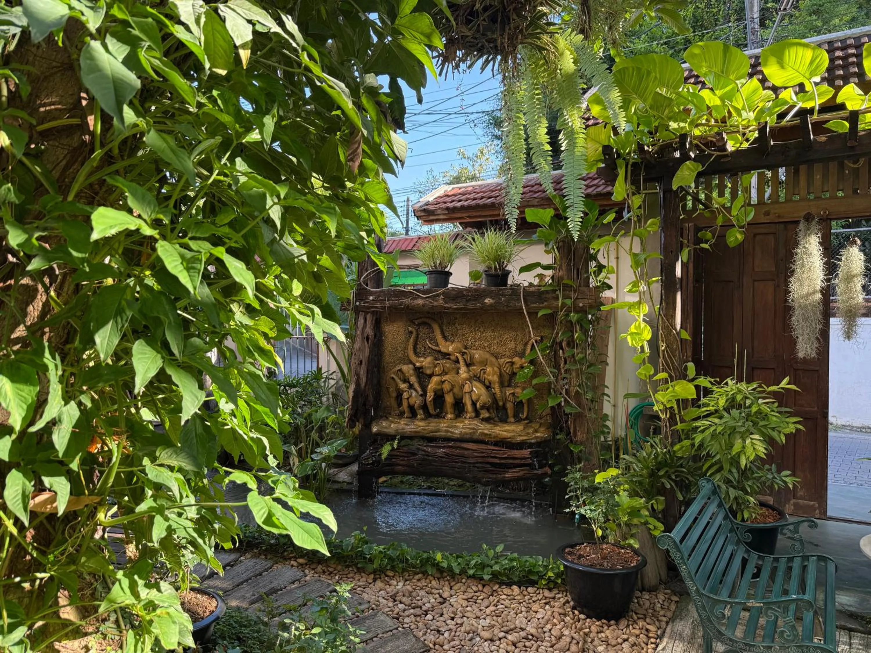 Garden in Khom Chiang Mai