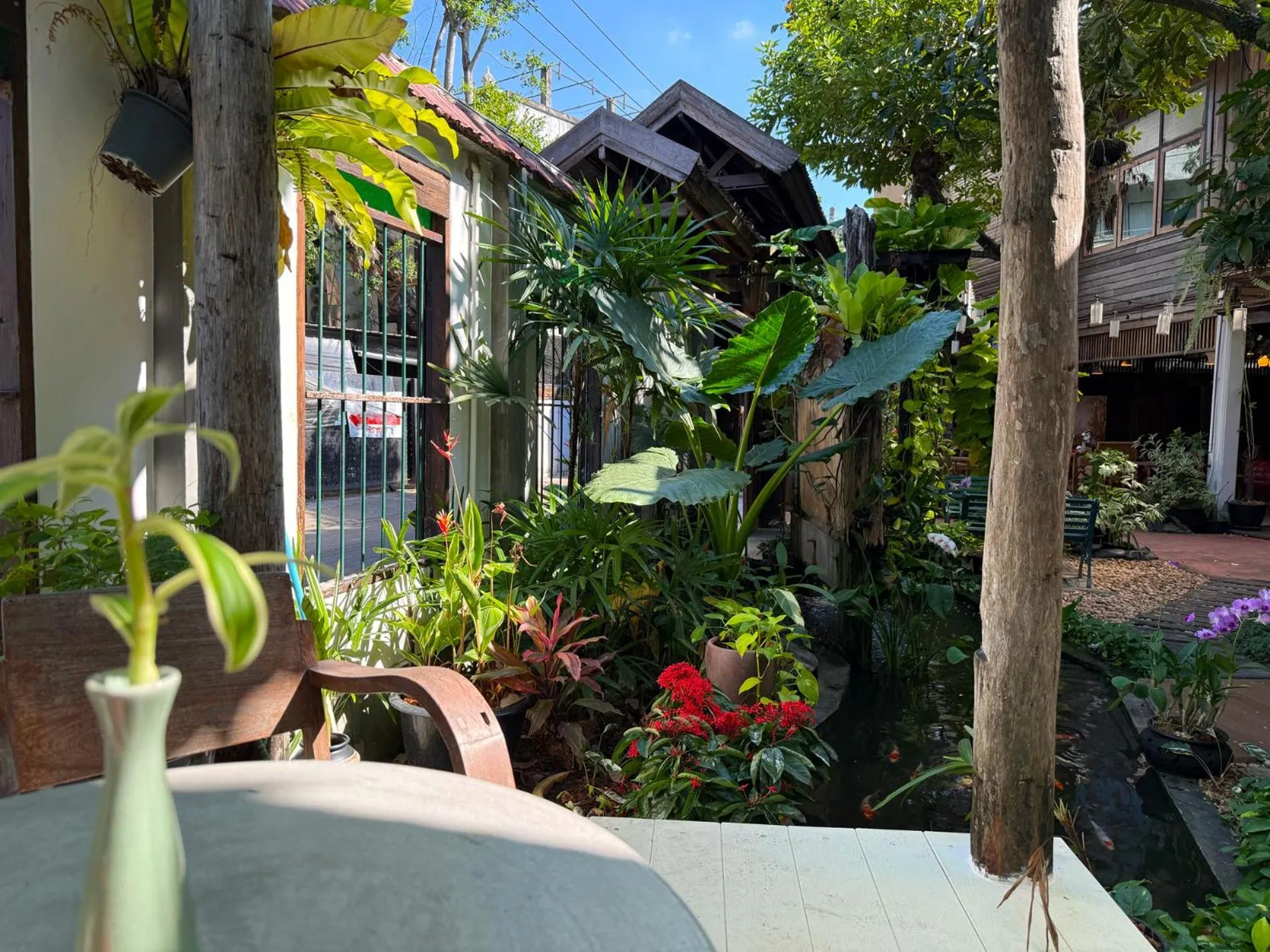 Garden in Khom Chiang Mai