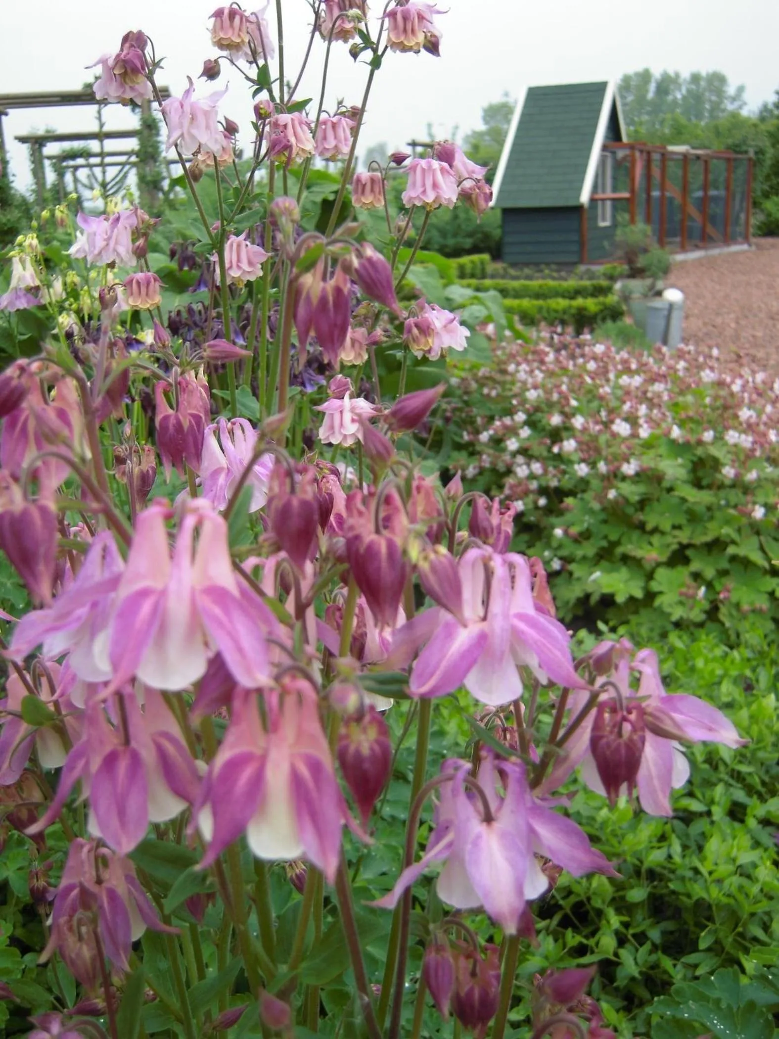 B&B ZomersBuiten