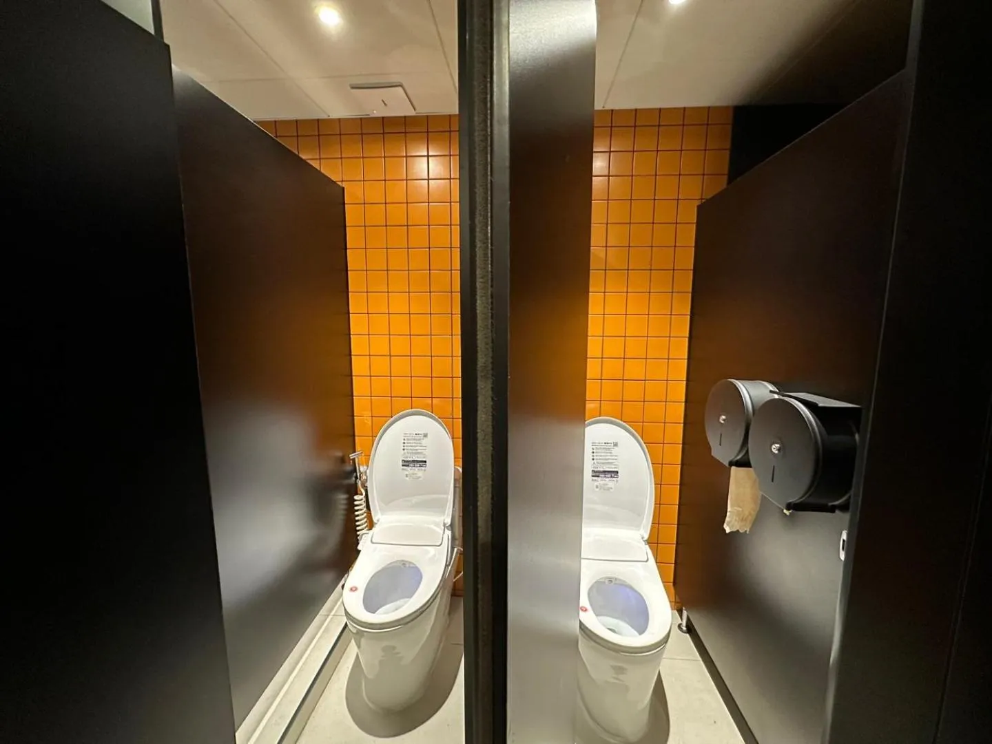 Toilet in Nomad Live Hostel