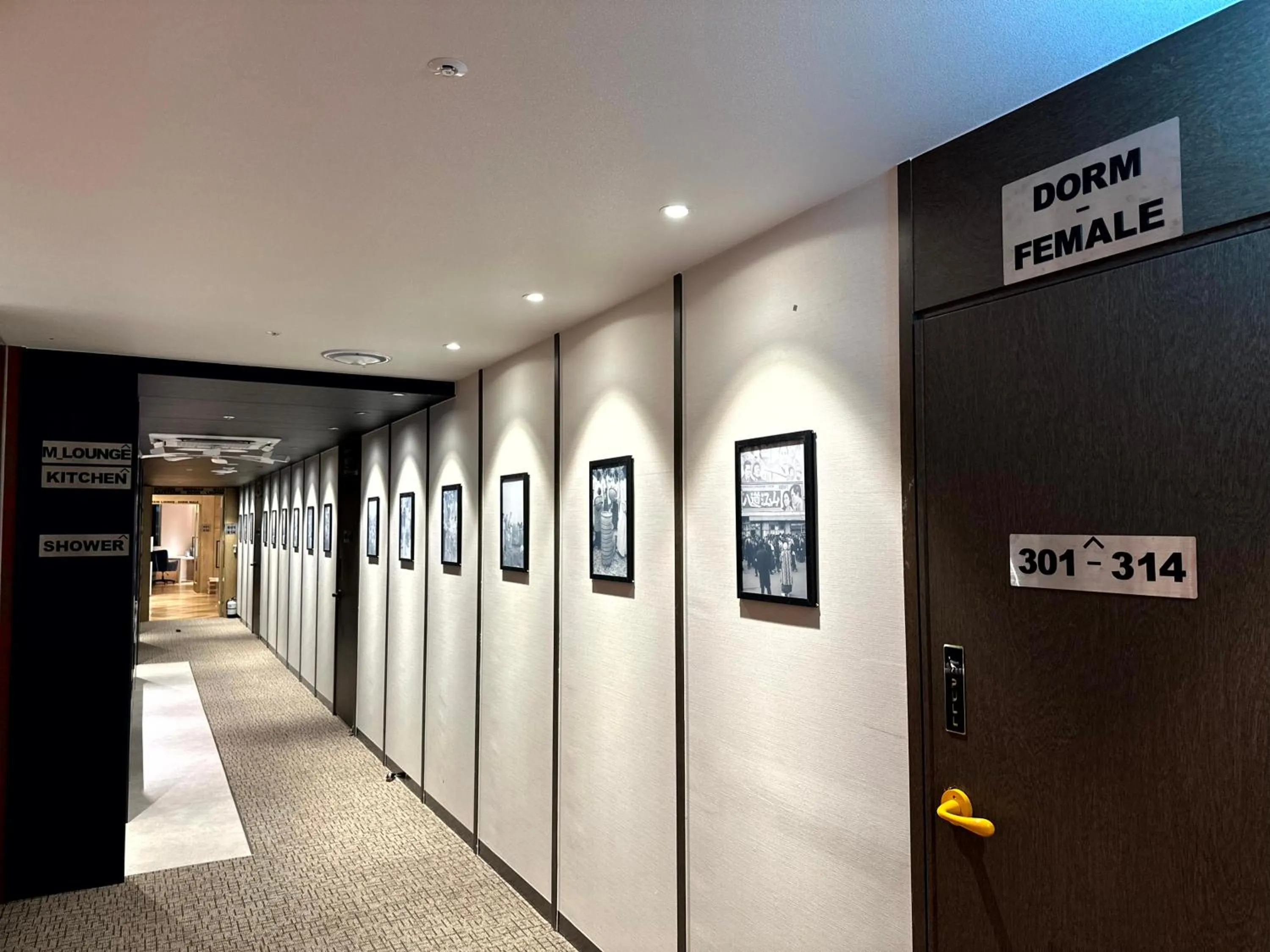 Area and facilities in Nomad Live Hostel