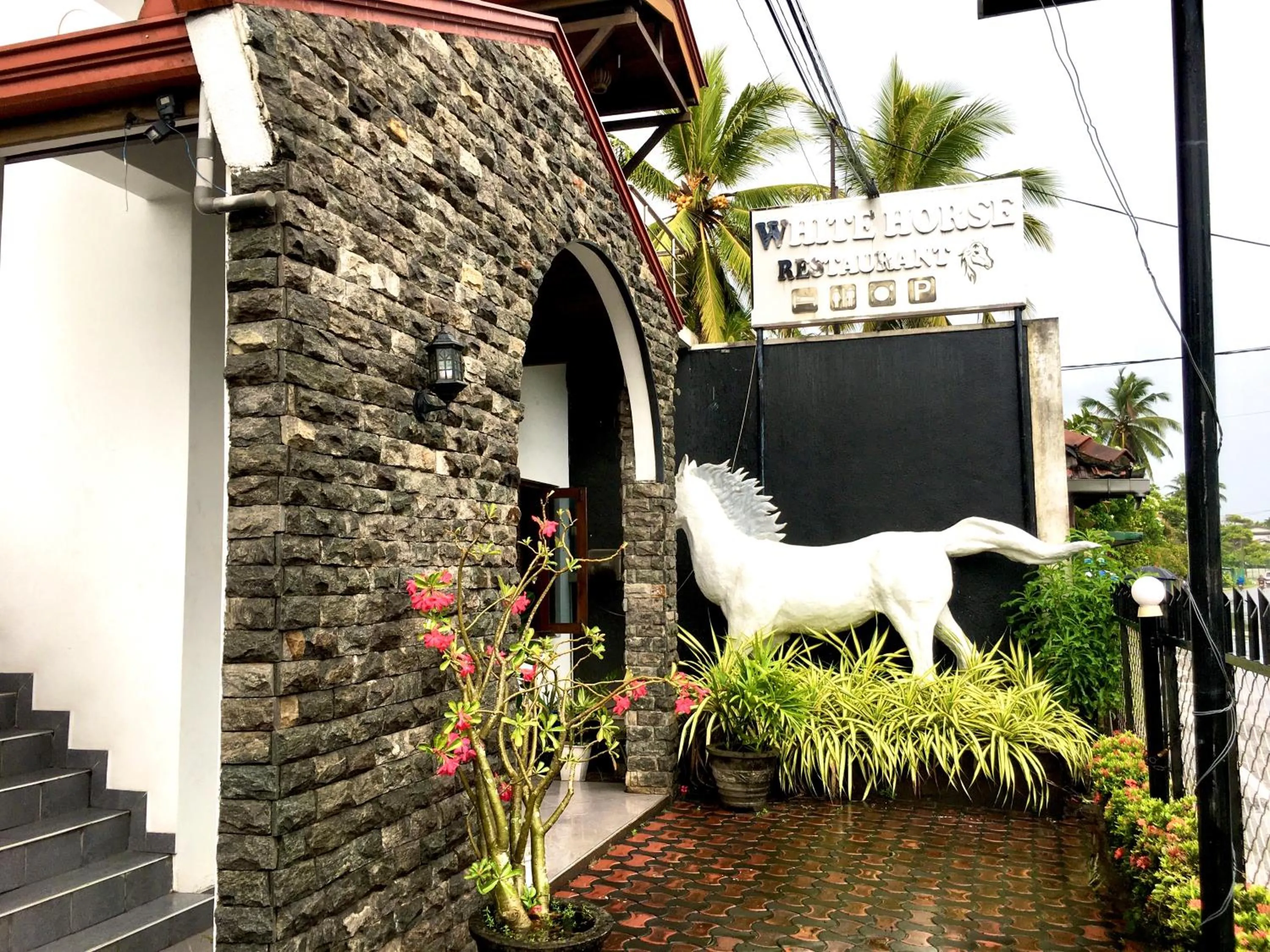 White horse mirissa