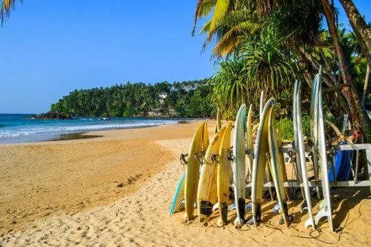 White horse mirissa