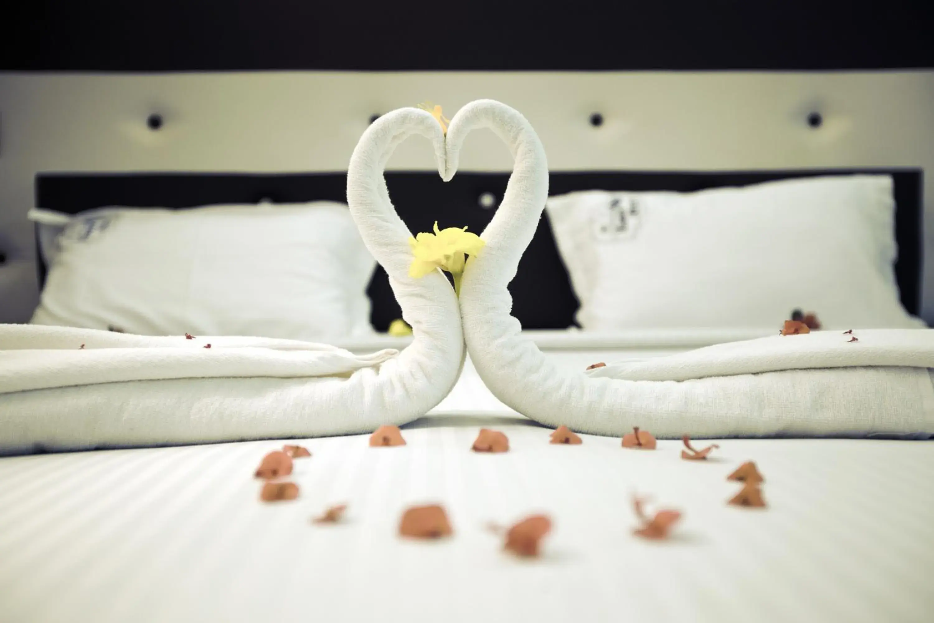 Bedroom in Happy Nest Yercaud Bedroom in Happy Nest Yercaud