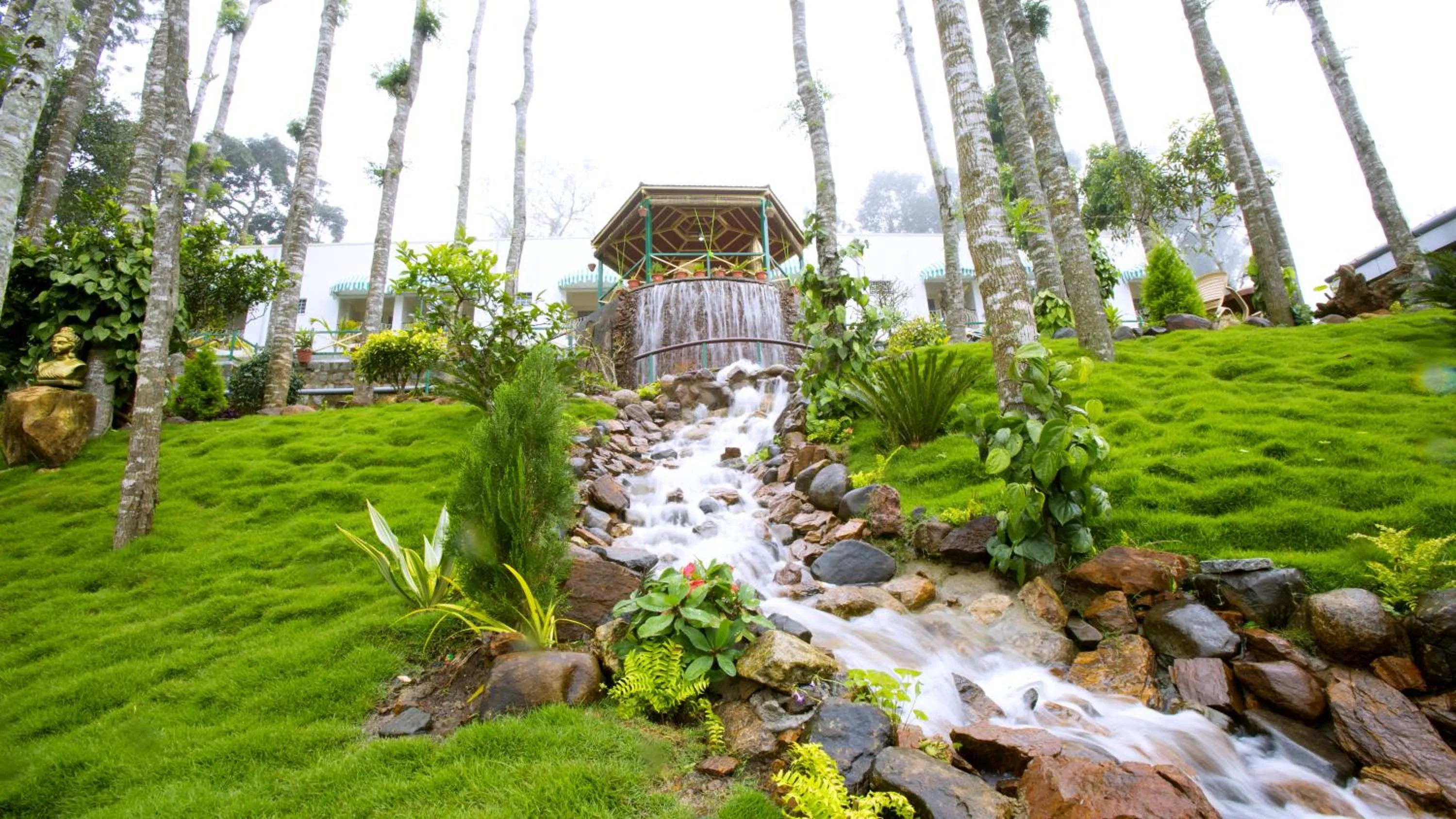 Garden in Happy Nest Yercaud